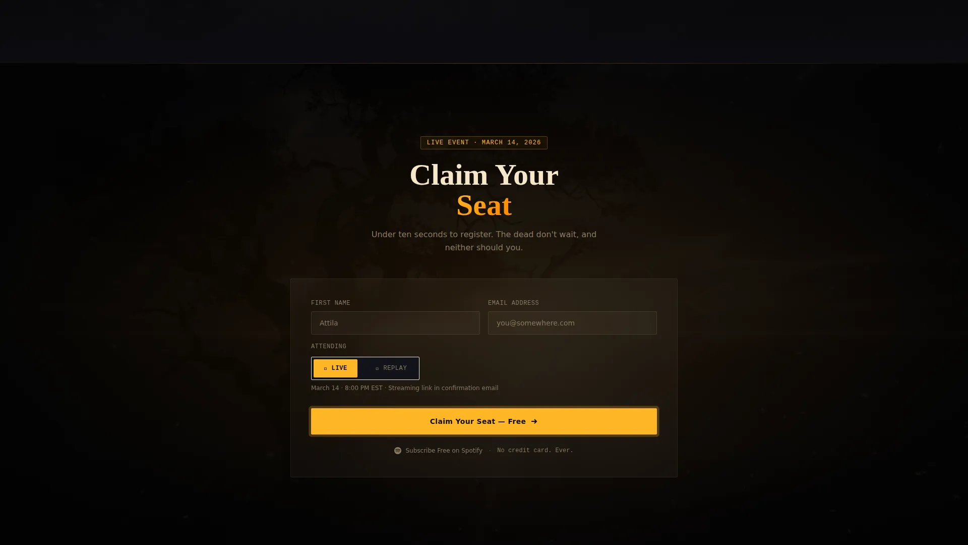 Content Creator Specialist Professional Website Template