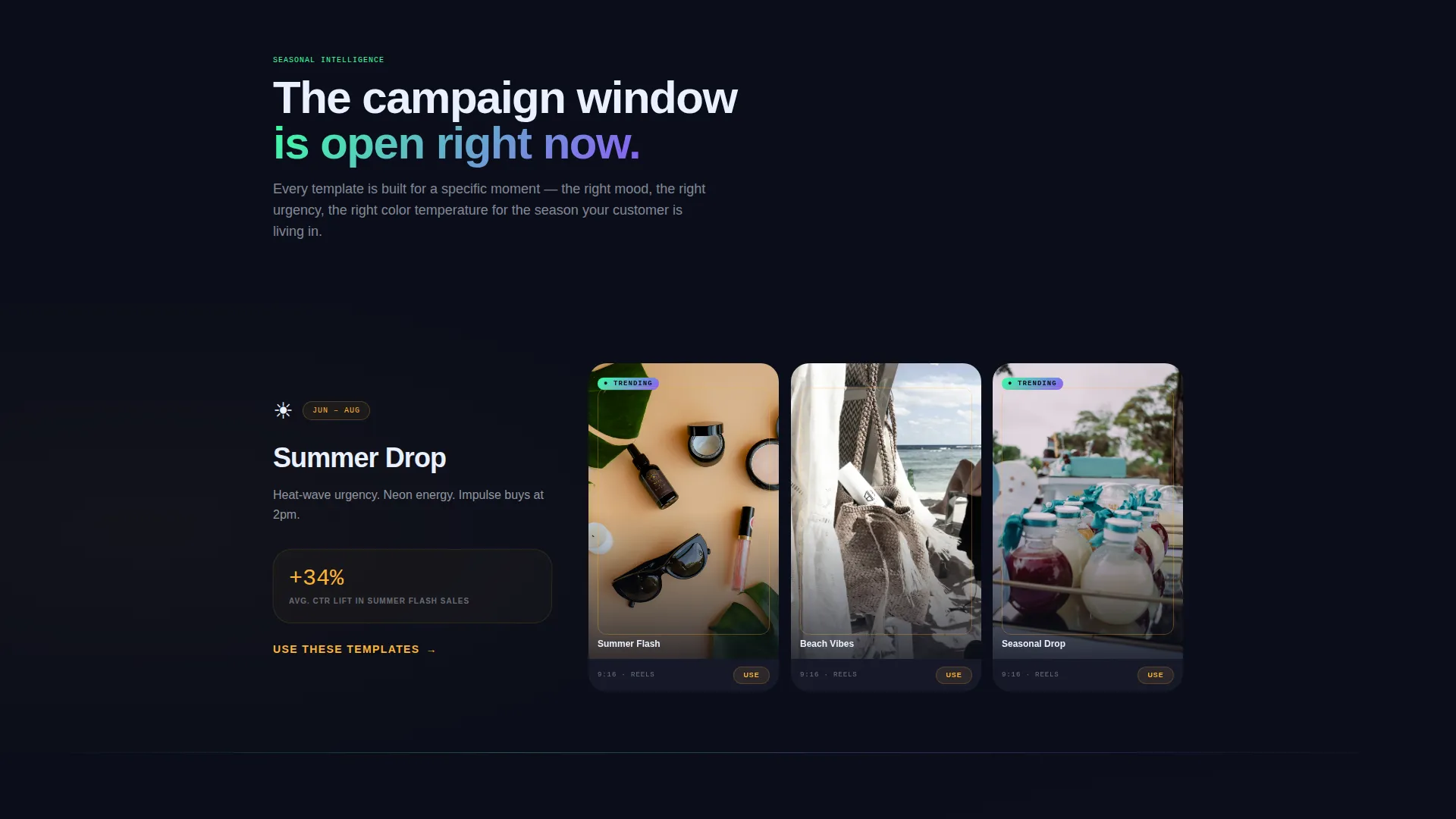 Instagram Content Professional Website Template