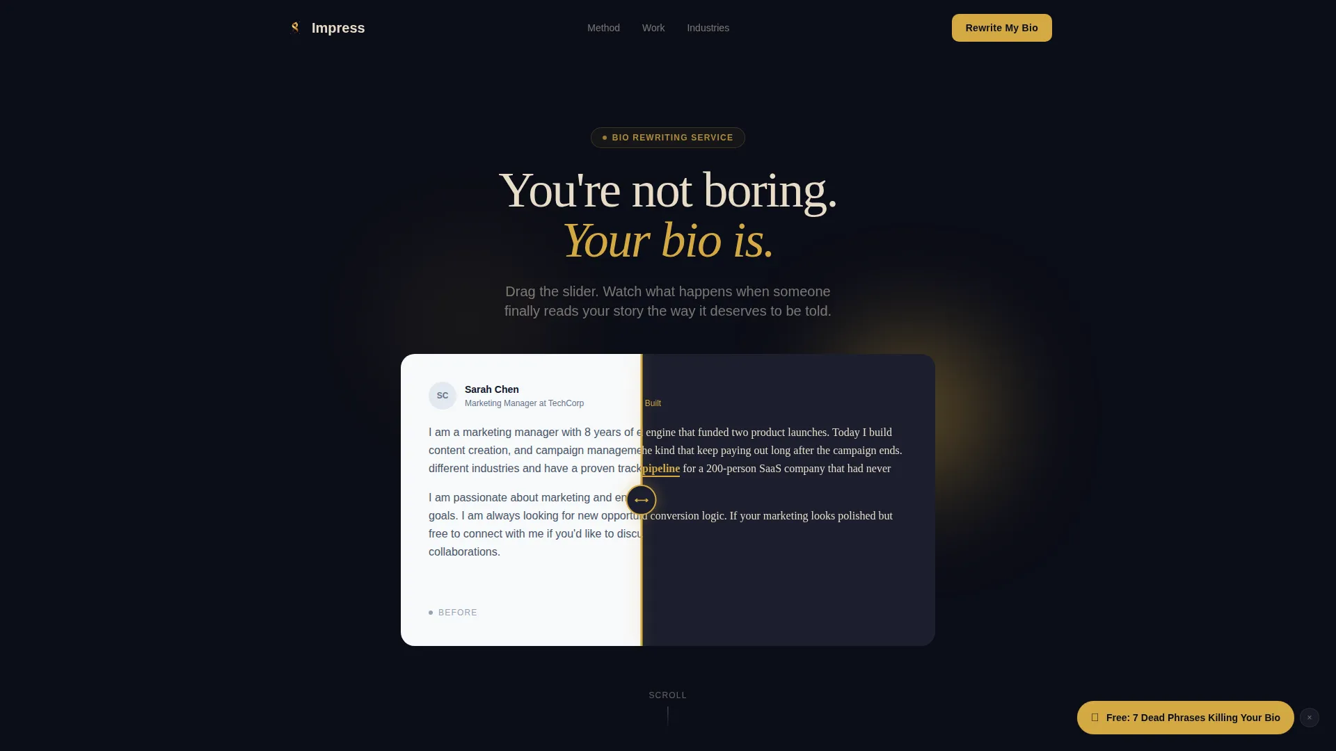 Magnetic Bio Landing Page Template for Job Seekers