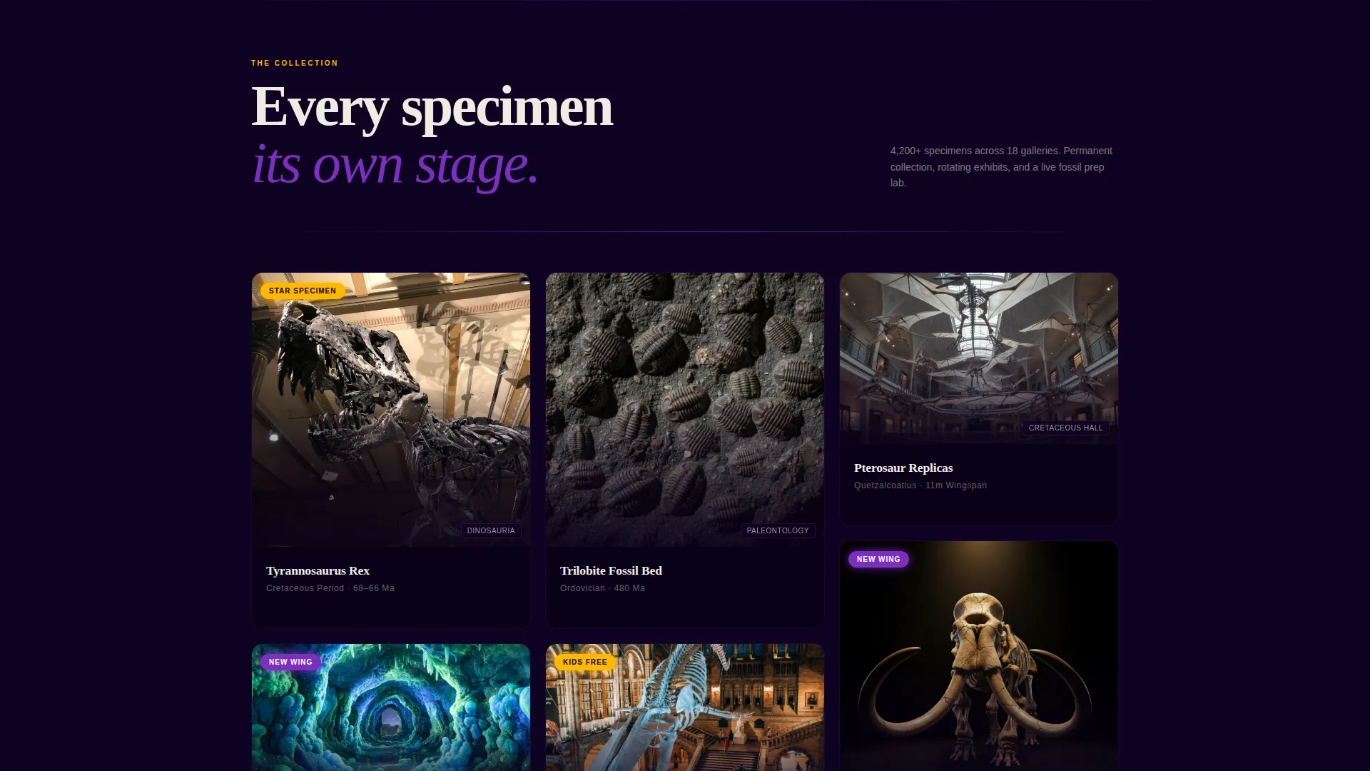 Natural History Museum Landing Page Template