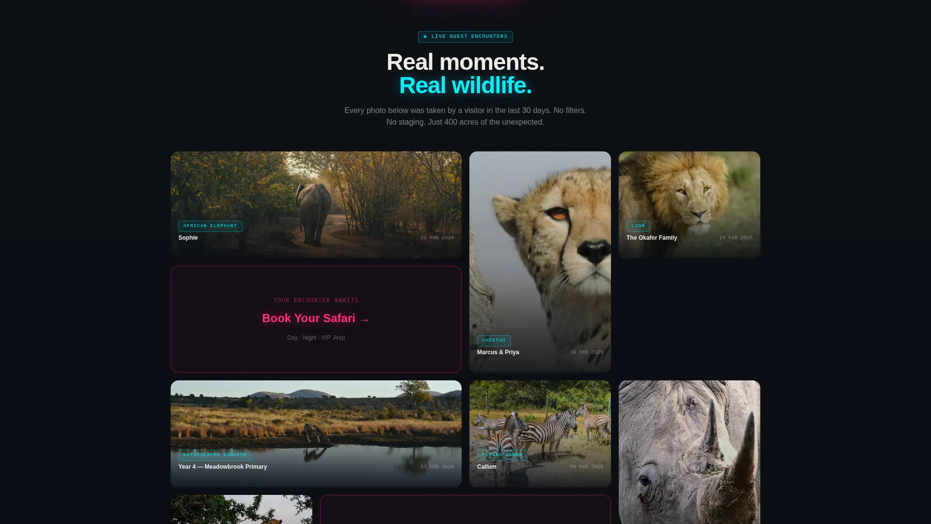 Safari Park Landing Page Template | Futuristic Neon