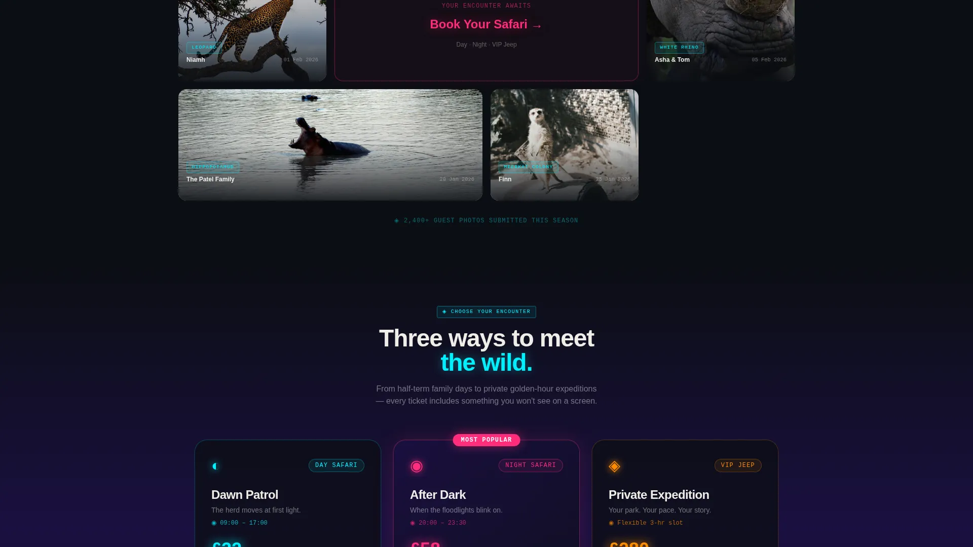 Safari Park Landing Page Template | Futuristic Neon