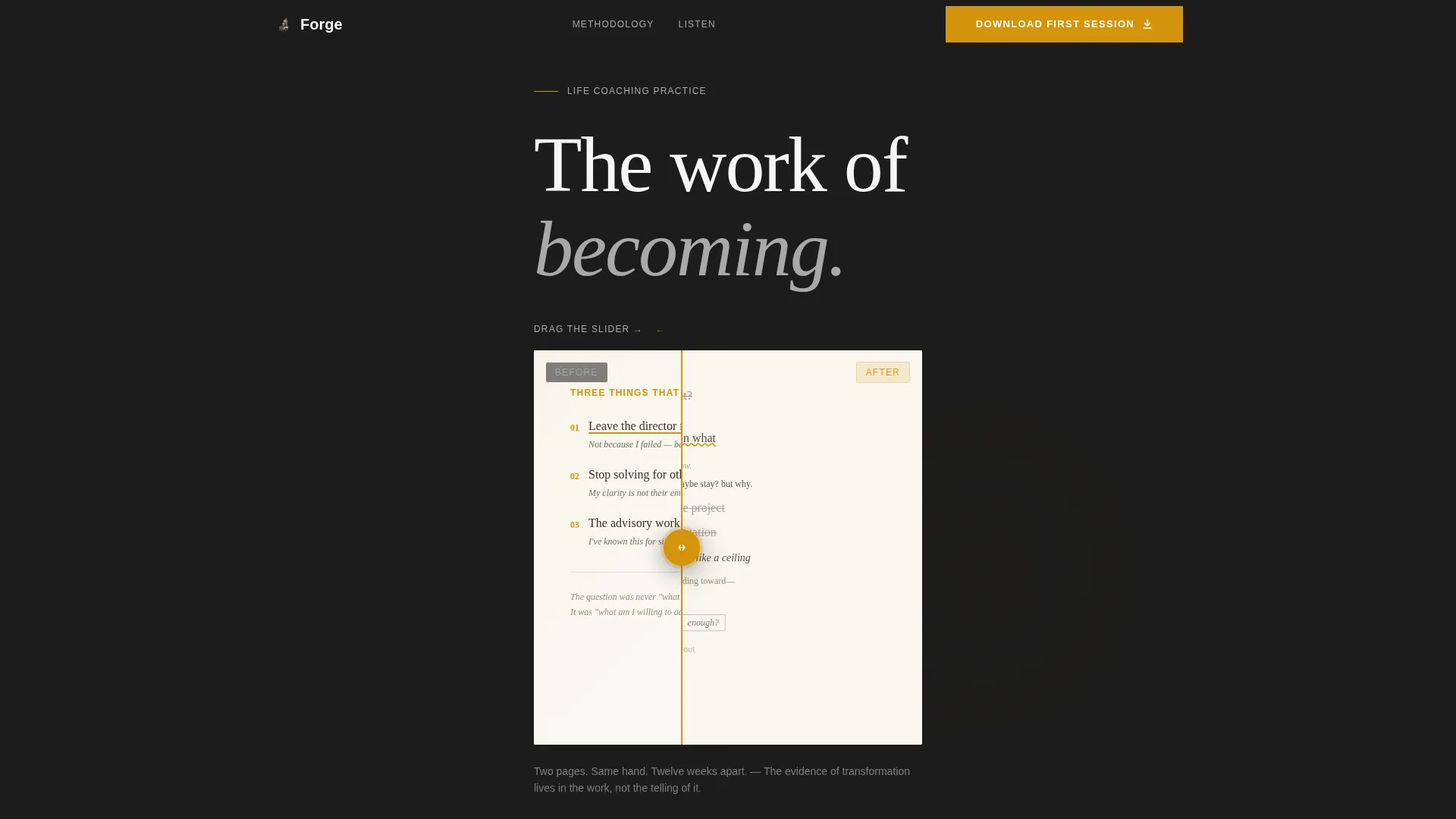 Specialist Coach & Mentor Appointment Booking Website Template