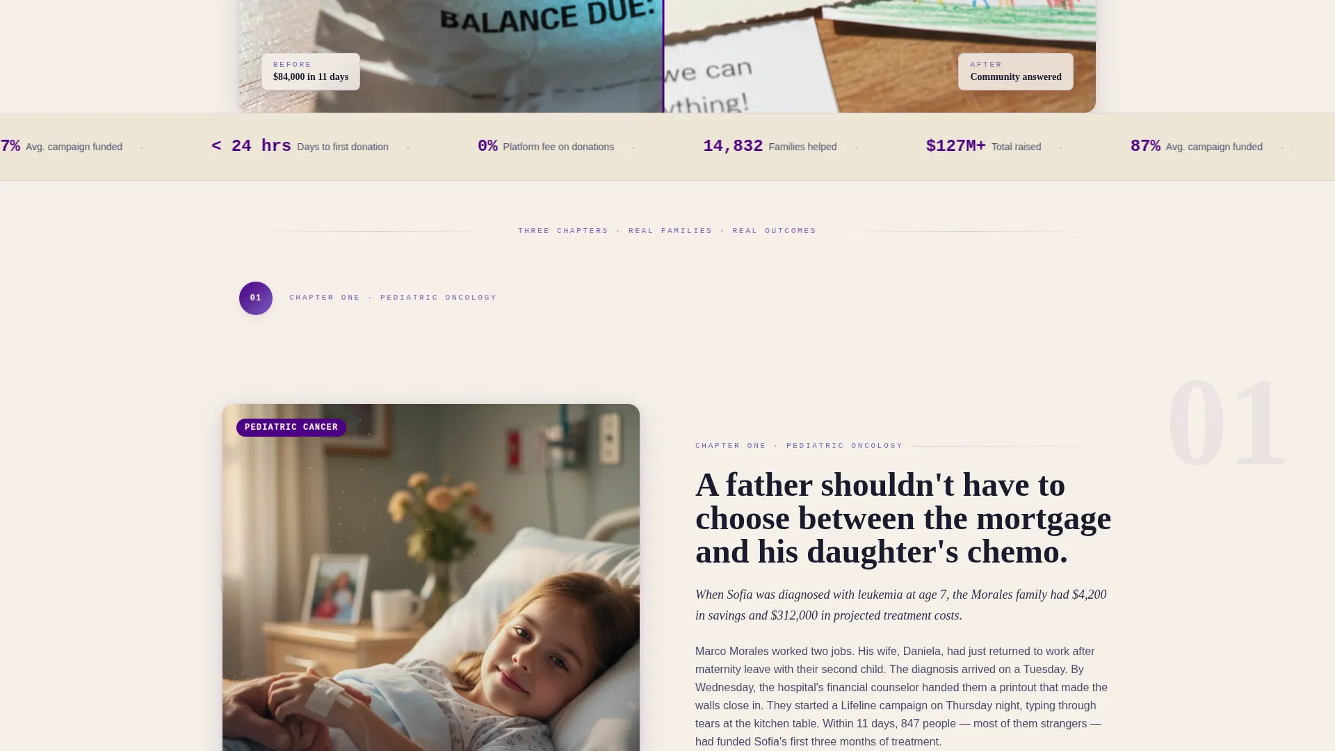 Expert Charity & Fundraiser Profile Professional Website Template