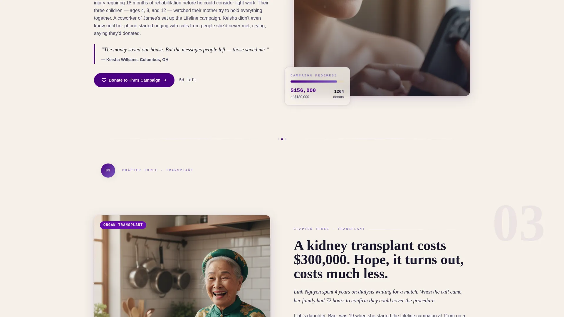 Expert Charity & Fundraiser Profile Professional Website Template