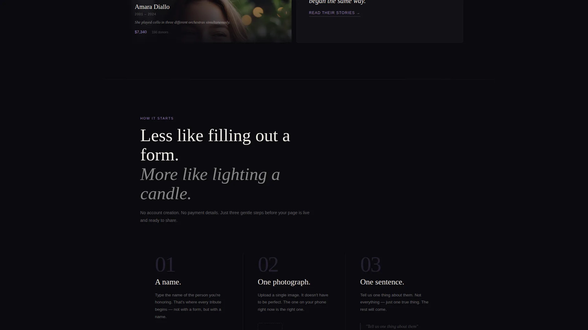 Complete Charity & Fundraiser Profile Professional Website Template