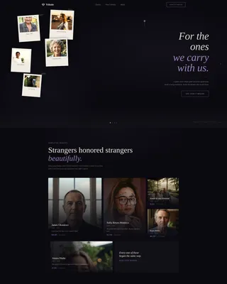 Complete Charity & Fundraiser Profile Professional Website Template