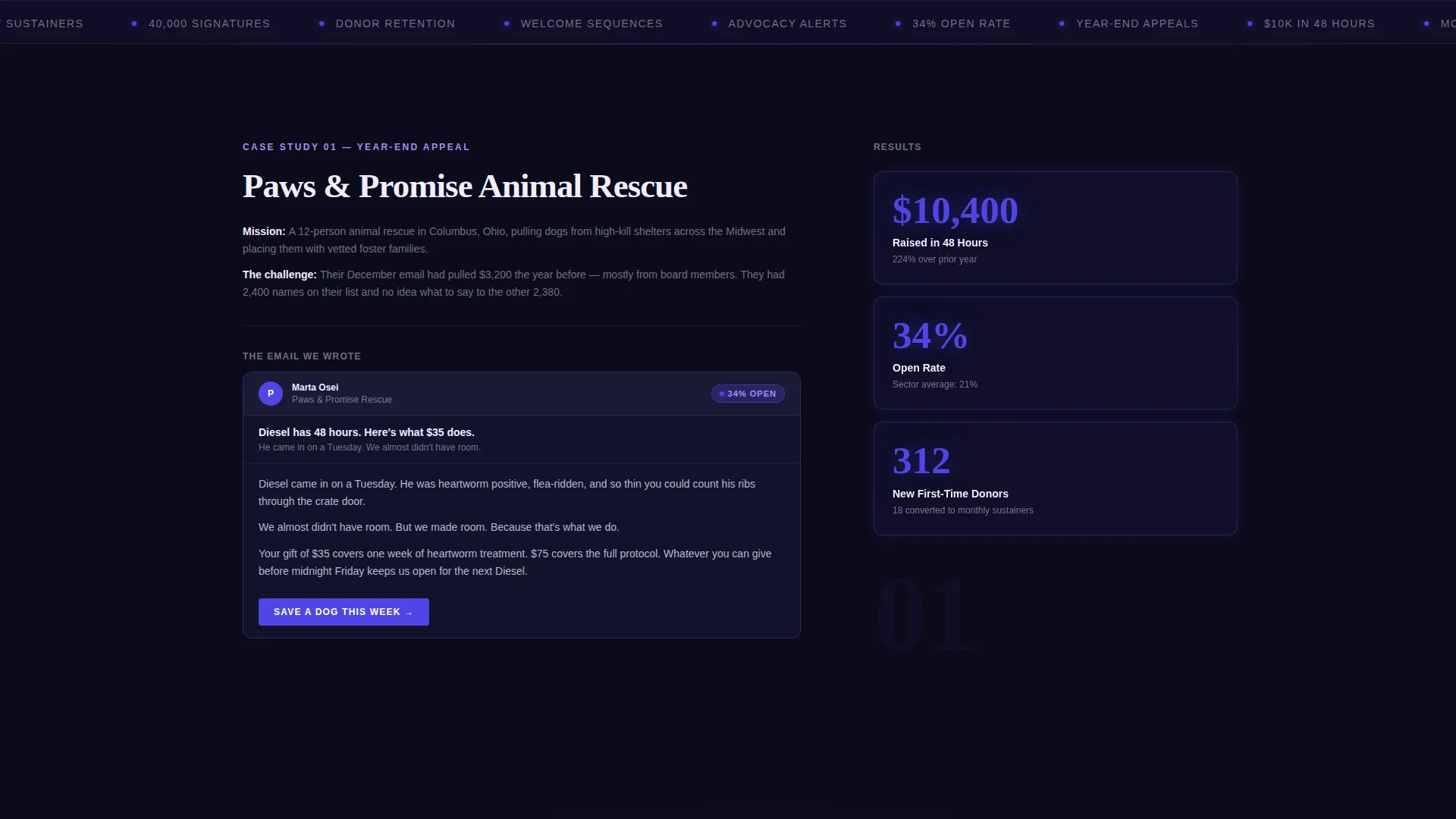 Nonprofit Marketing & Agency Portfolio Website Template