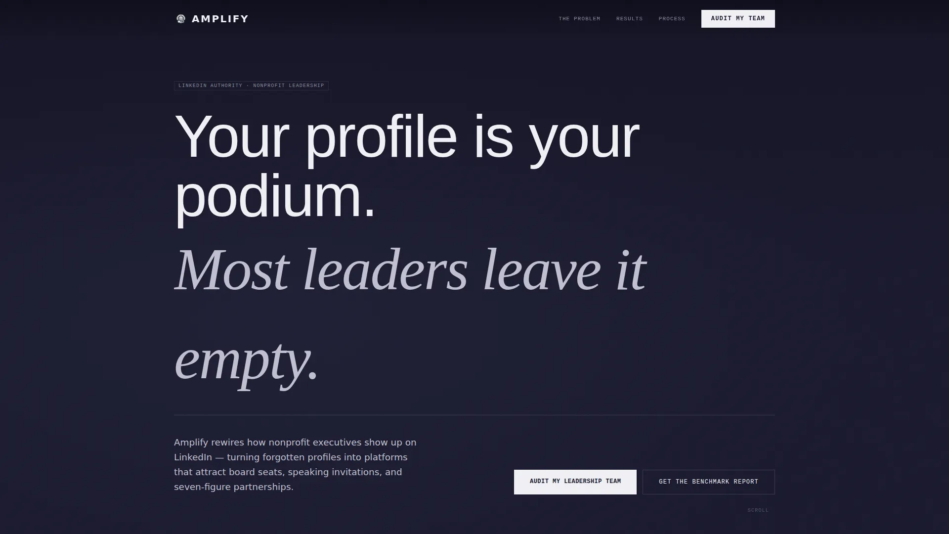 Nonprofit Leader Career Professional Website Template