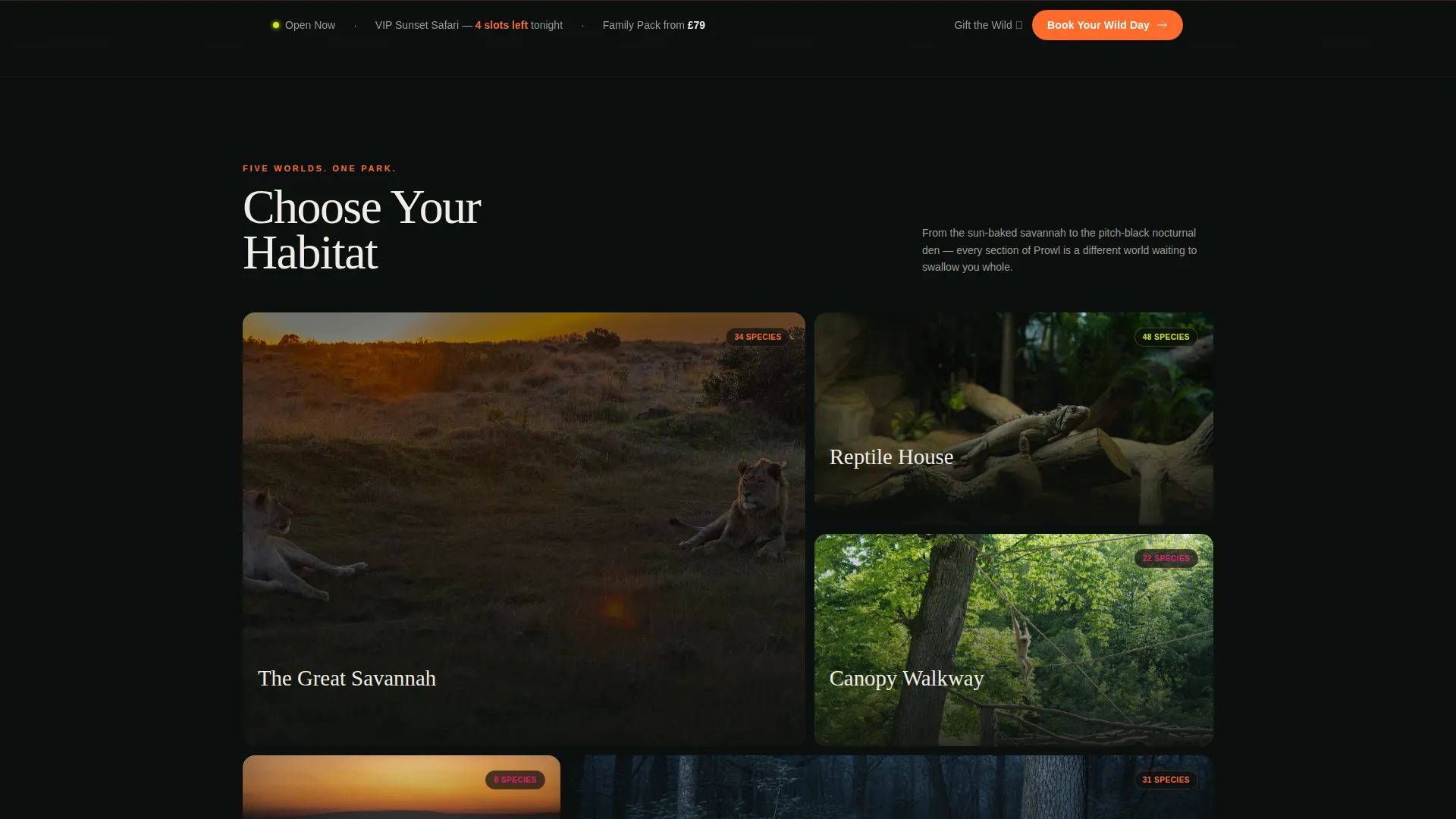 Immersive Zoo & Wildlife Park Landing Page Template