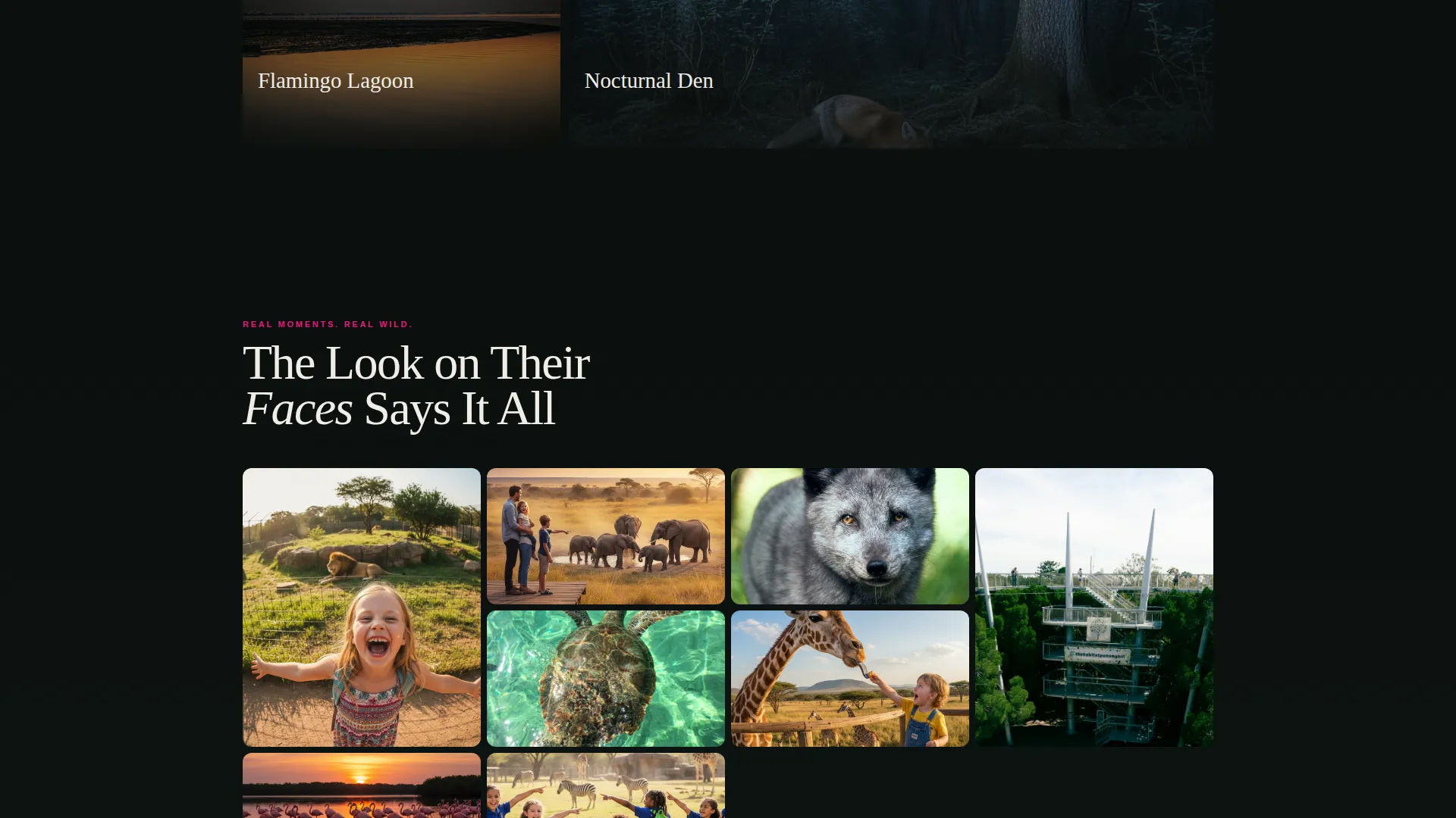 Immersive Zoo & Wildlife Park Landing Page Template