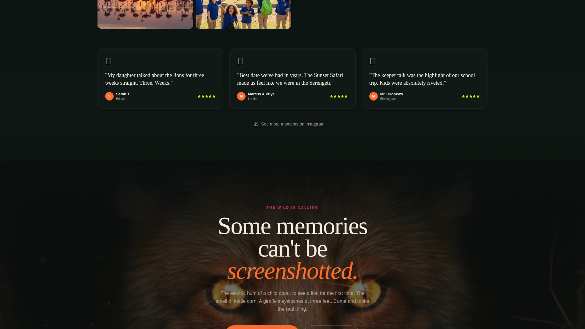 Immersive Zoo & Wildlife Park Landing Page Template