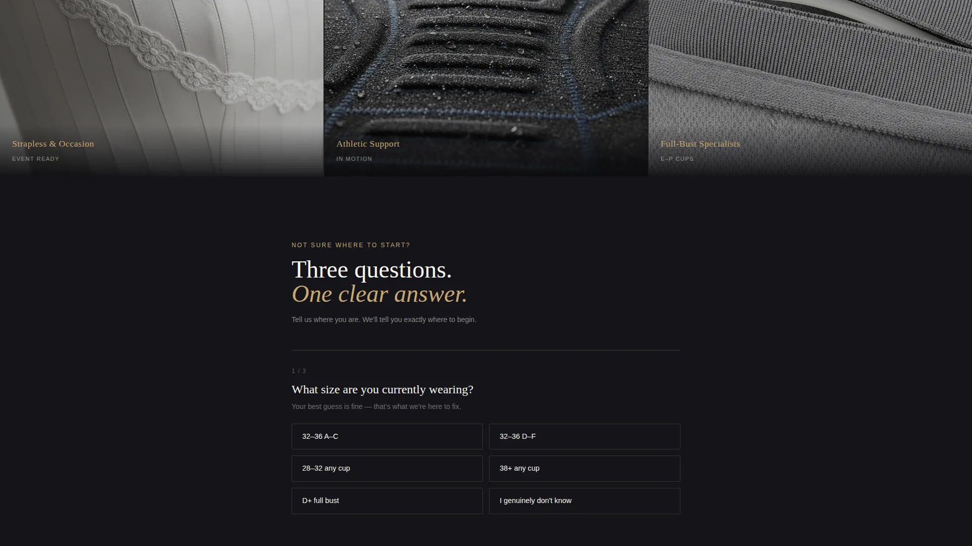 Luxe Bra Fitting Specialist Landing Page Template