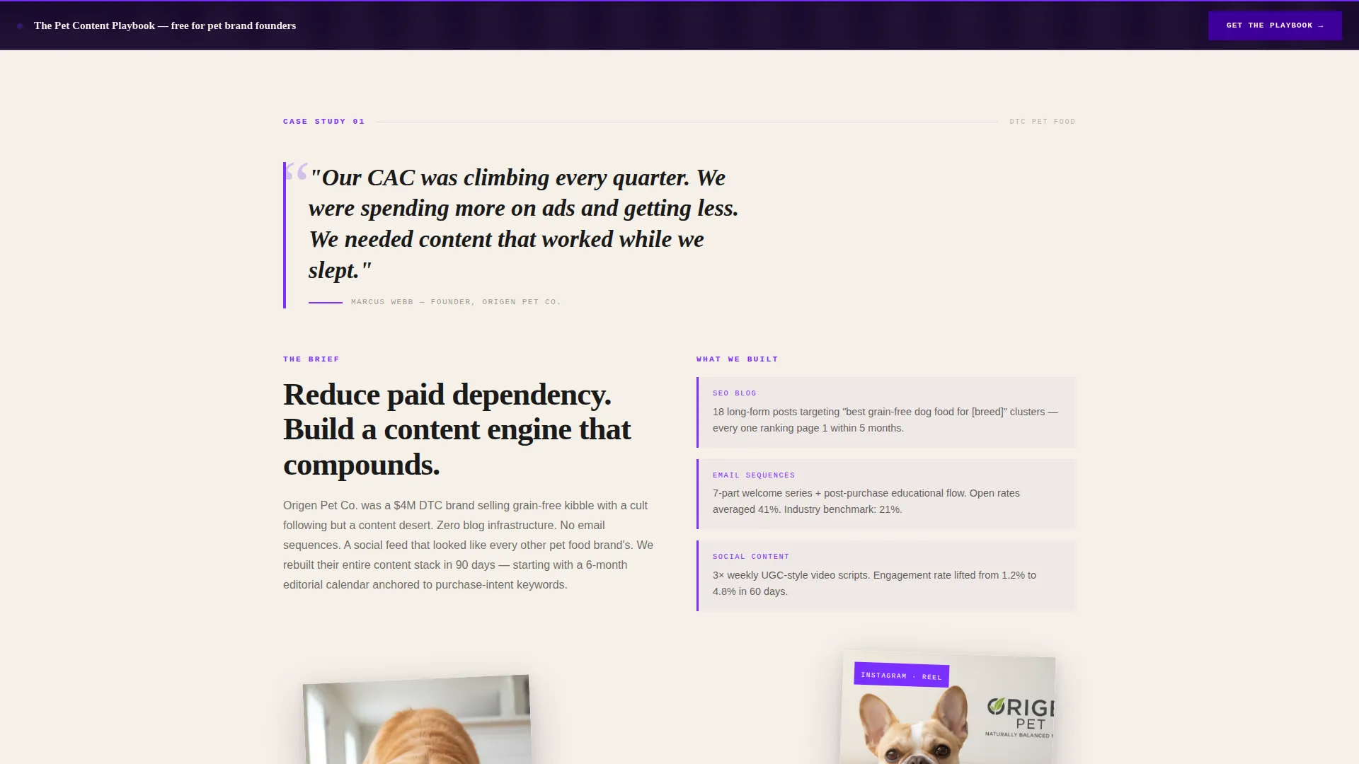 Pet Care Marketing & Agency Expert Portfolio Website Template