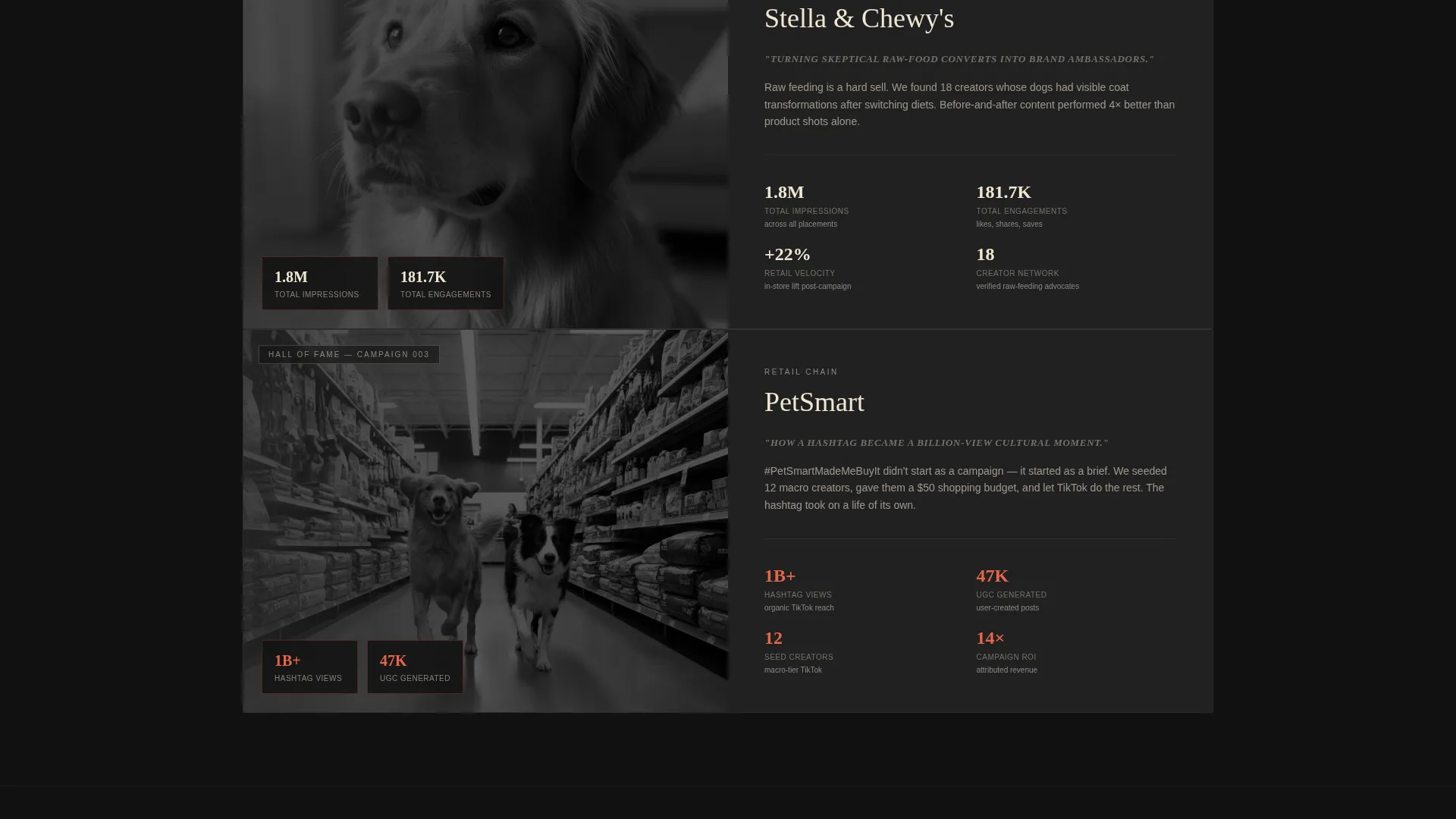 Pet Care Marketing & Agency Blog Website Template