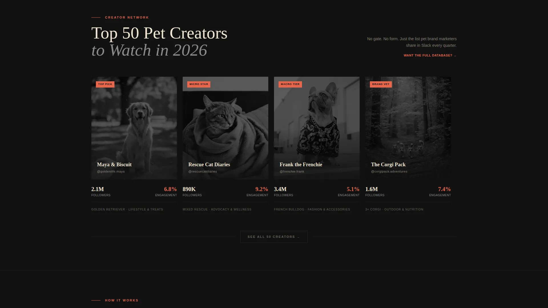 Pet Care Marketing & Agency Blog Website Template