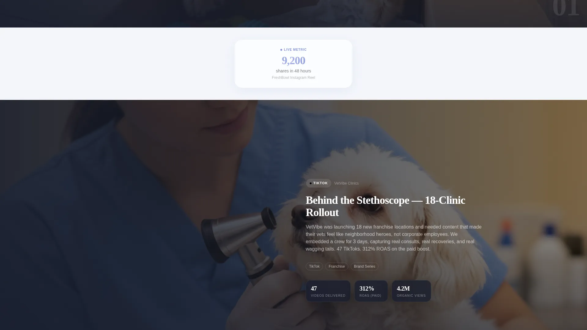 Pet Care Marketing & Agency Complete Portfolio Website Template