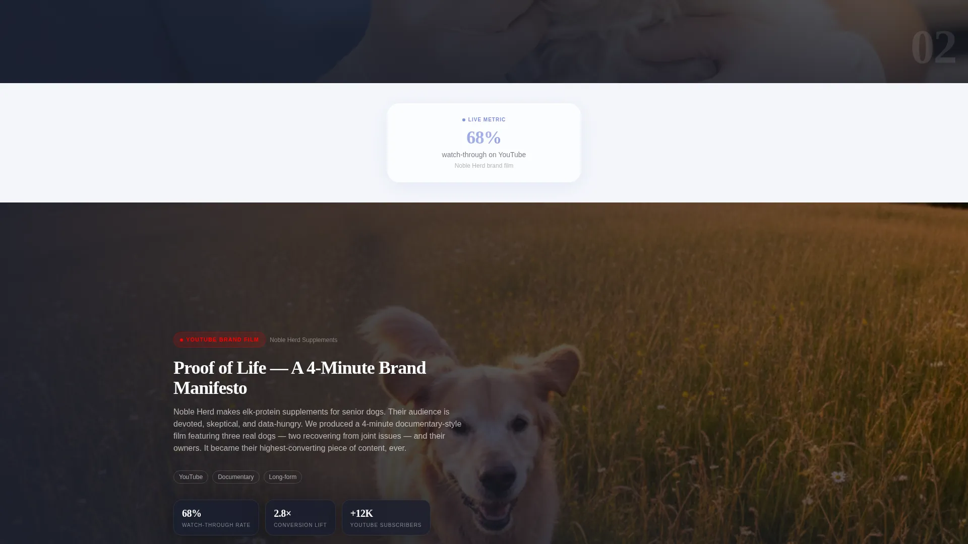 Pet Care Marketing & Agency Complete Portfolio Website Template
