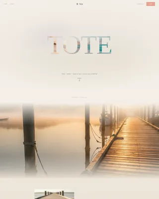 Coastal Grandmother Bag Brand Landing Page Template