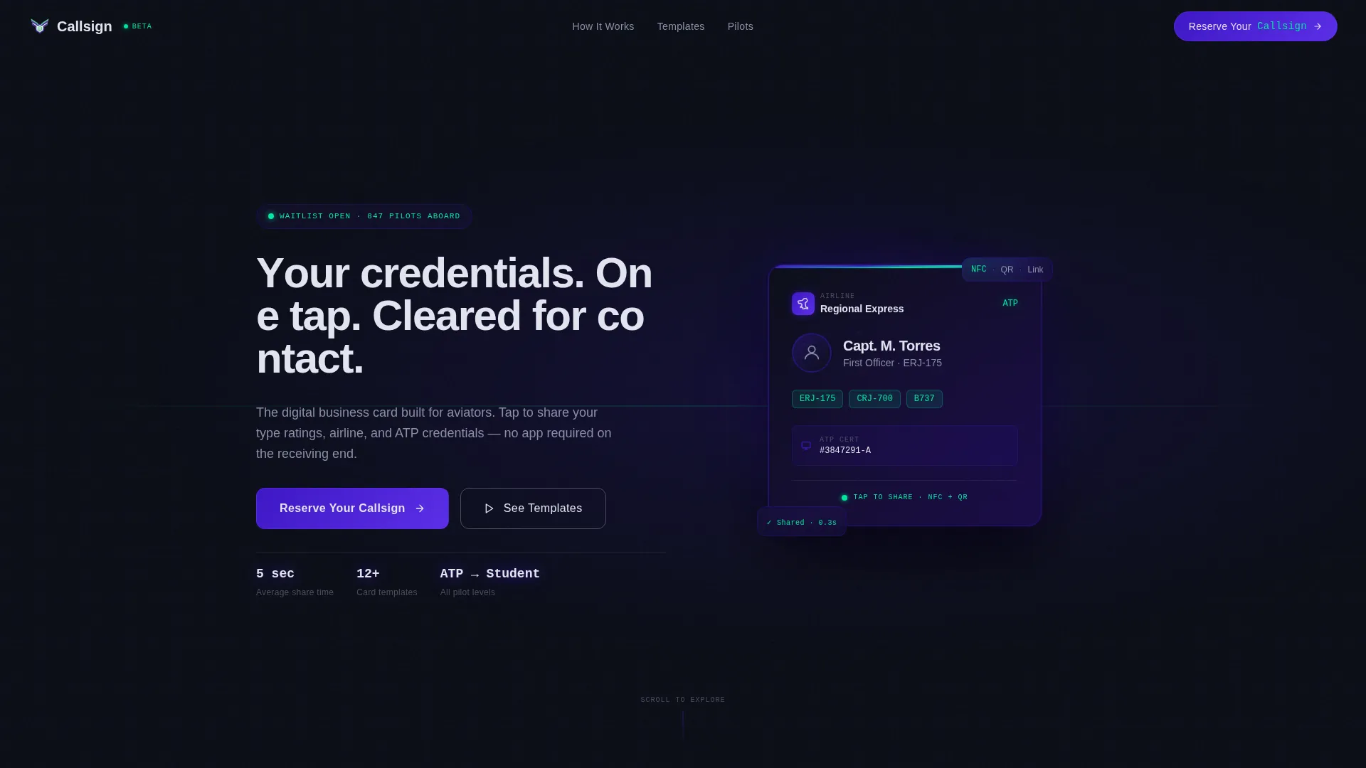 Pilot Profile Complete Pre-Launch Website Template