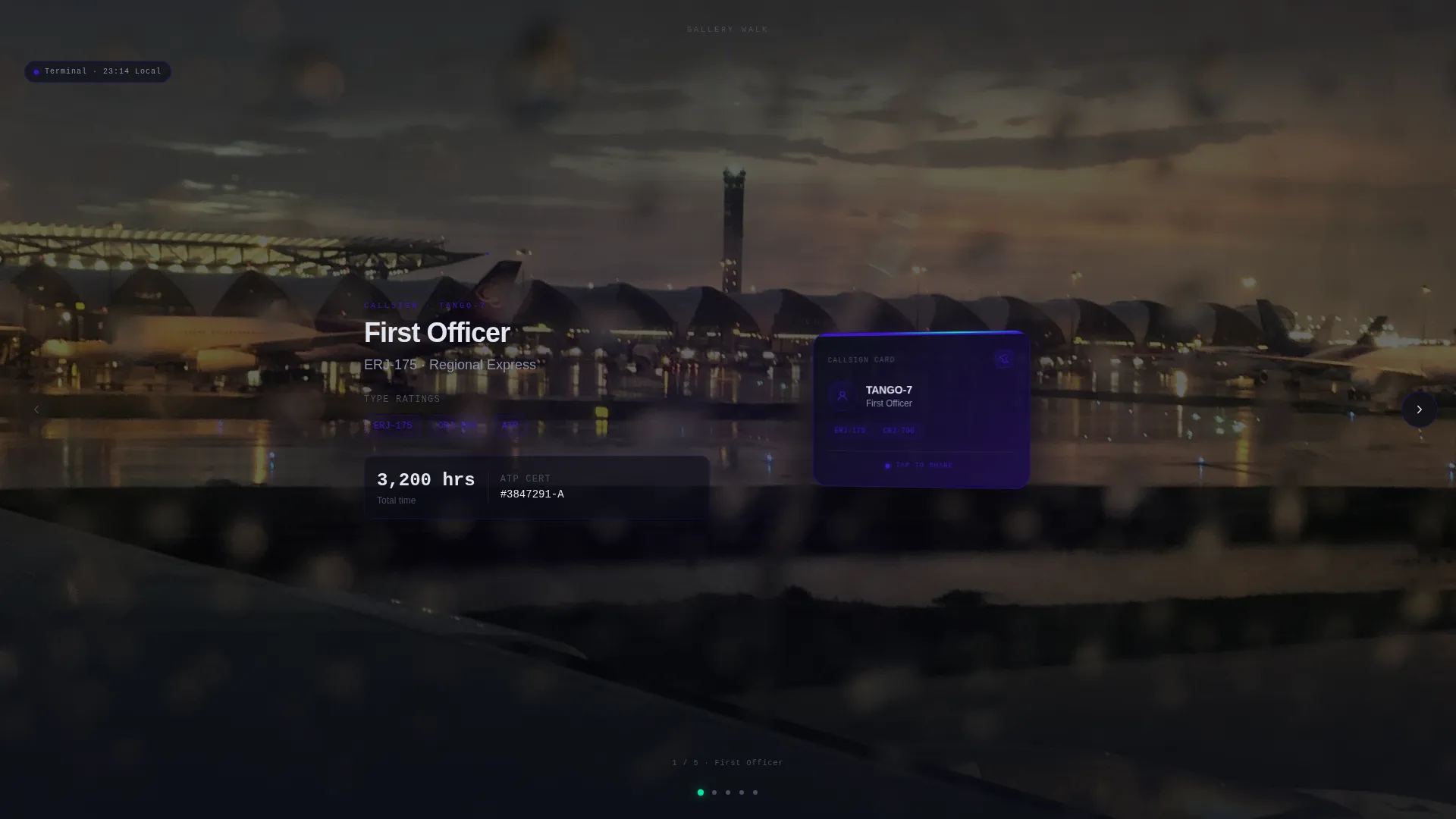 Pilot Profile Complete Pre-Launch Website Template