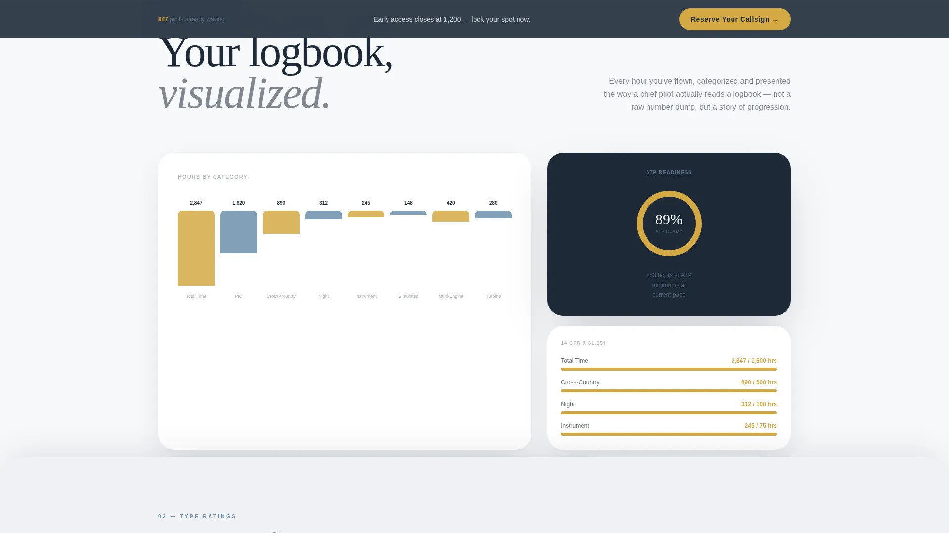 Pilot Profile Specialist Pre-Launch Website Template