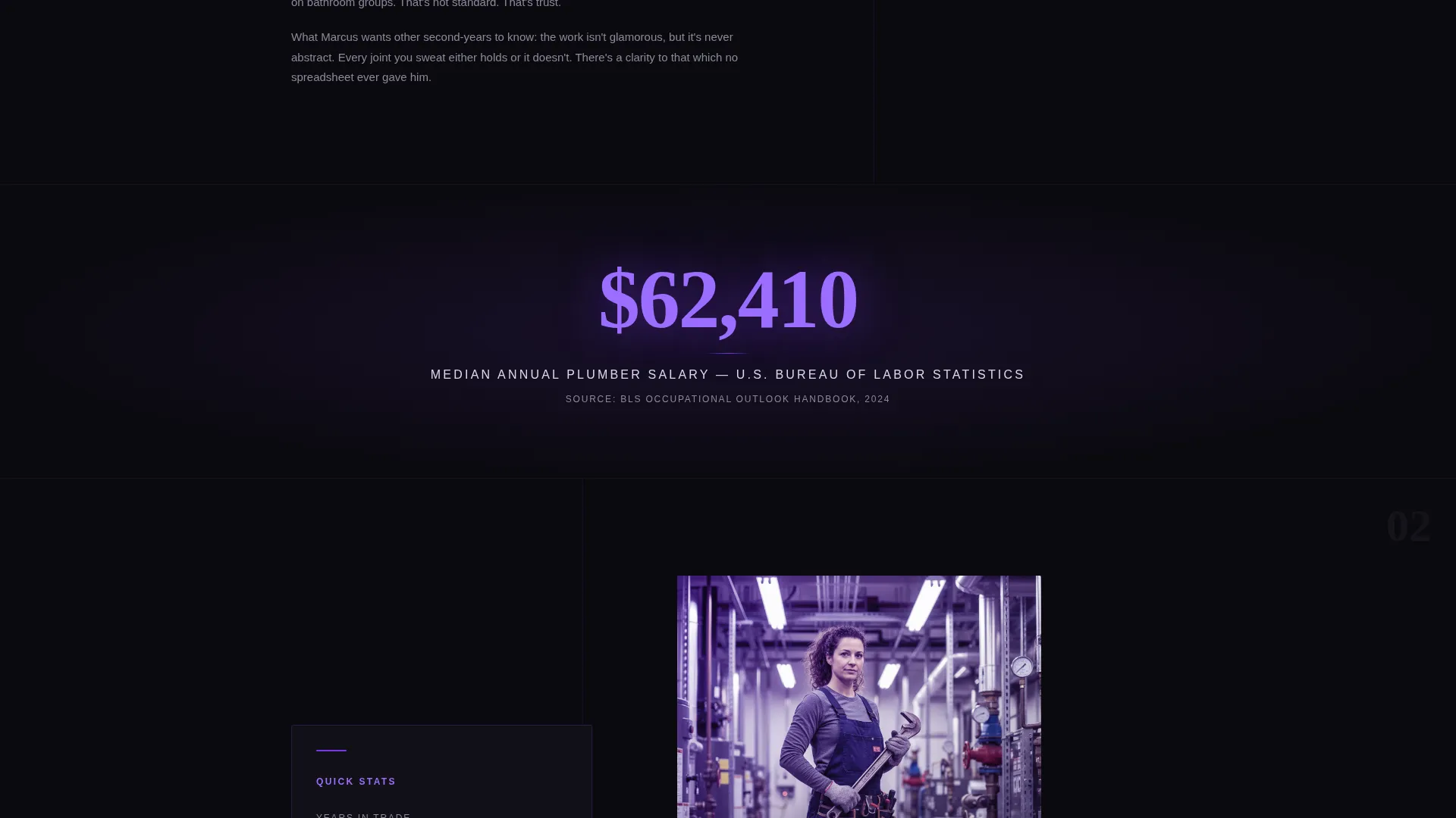 Plumber Profile Pre-Launch Website Template