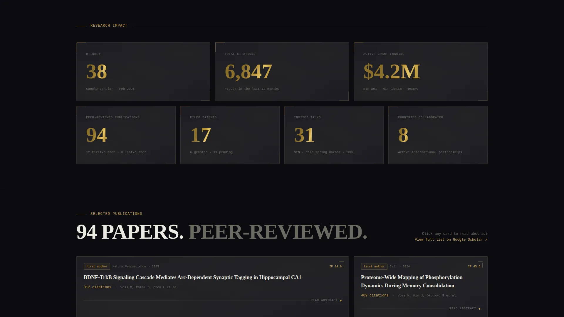 Academic & Research Profile Professional Website Template