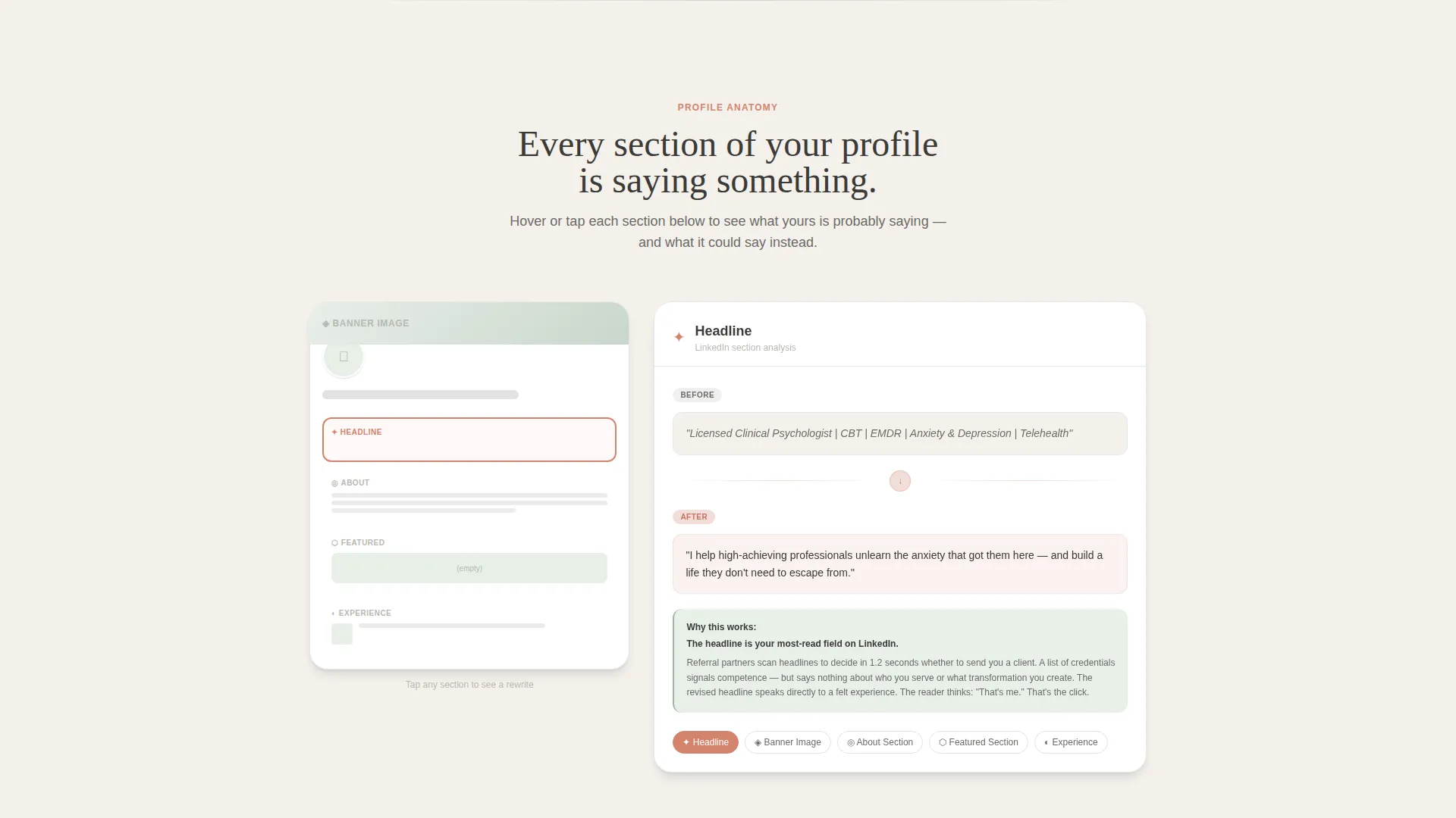 Psychologist Profile Directory Website Template