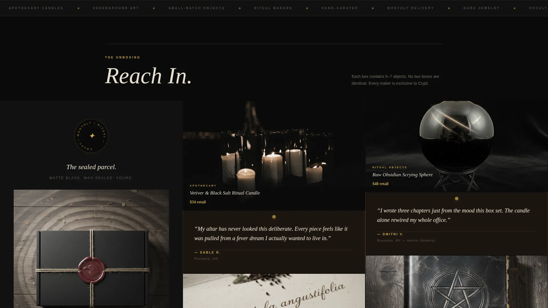 Dark Gothic Subscription Box Landing Page Template
