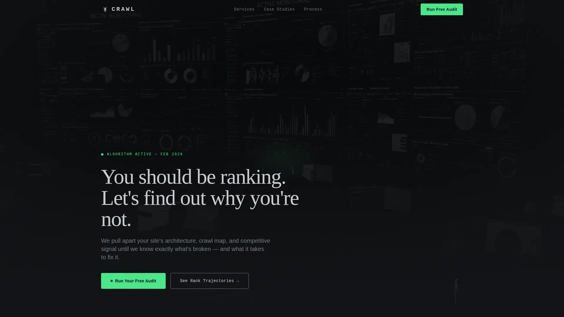SEO Agency Domain Health Scanner Website Template