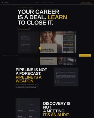 Bold Sales Executive Career Blog Landing Page