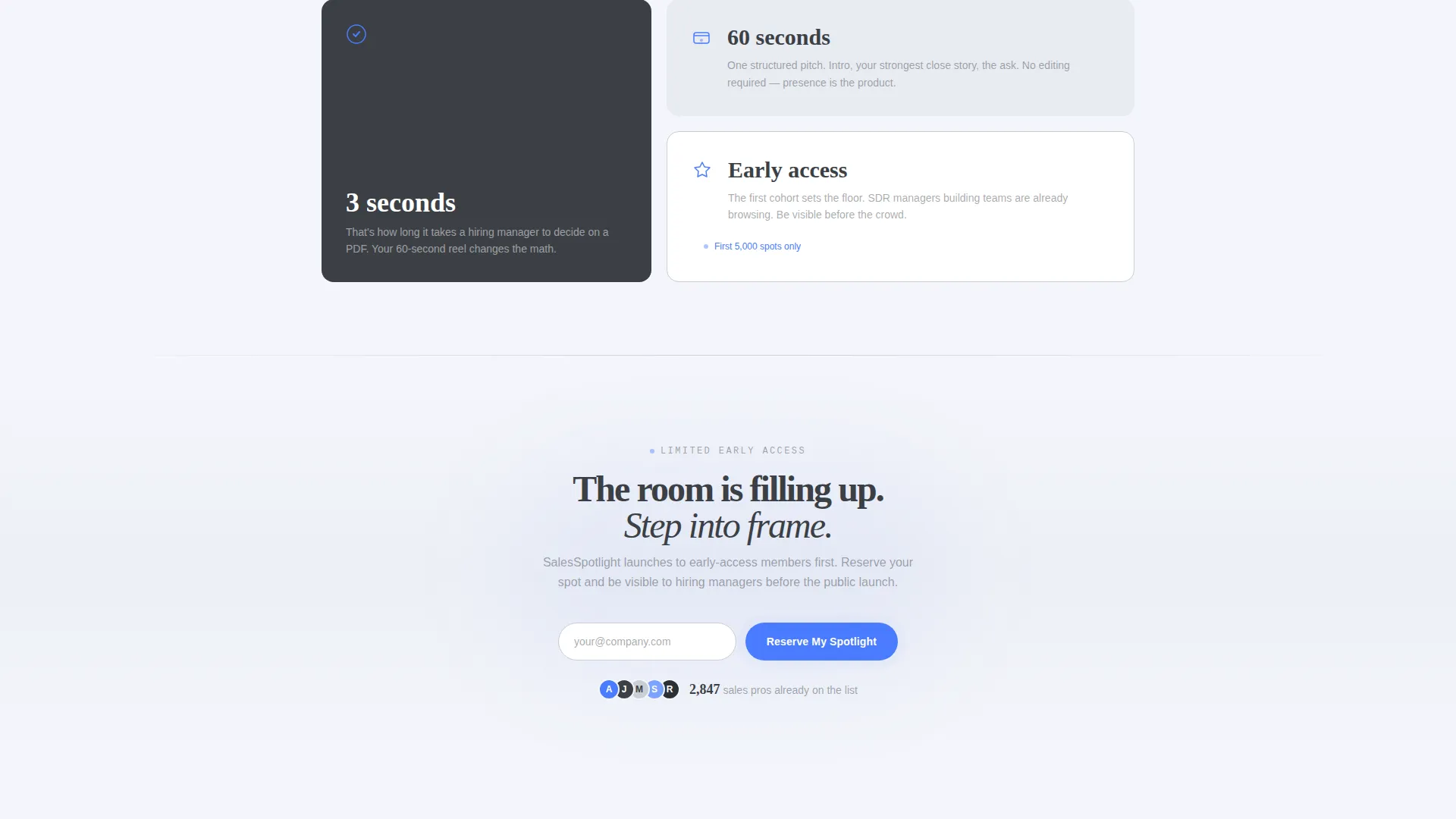 Sales Professional Video Resume Landing Page