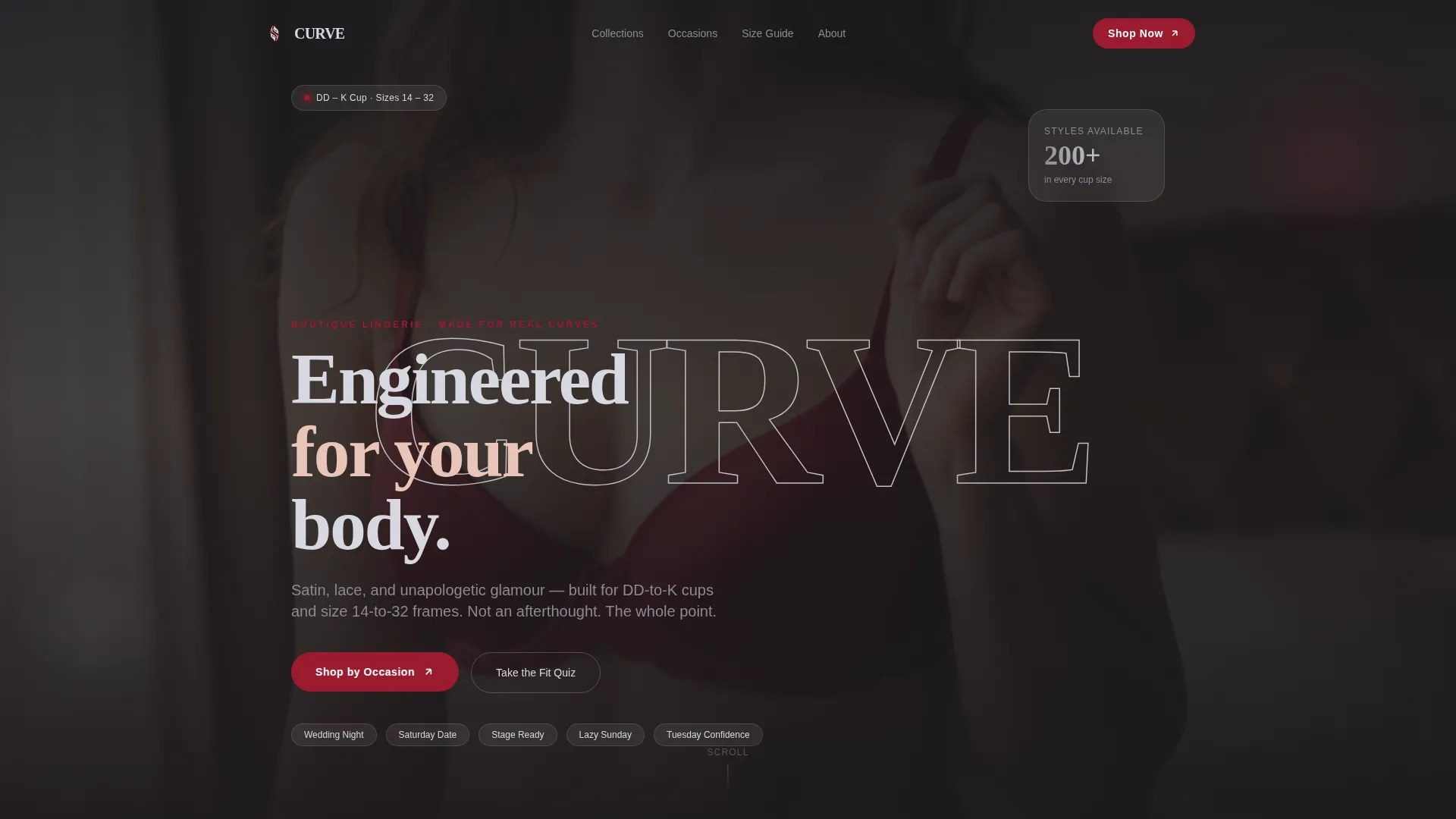 Plus-Size Lingerie Landing Page Template