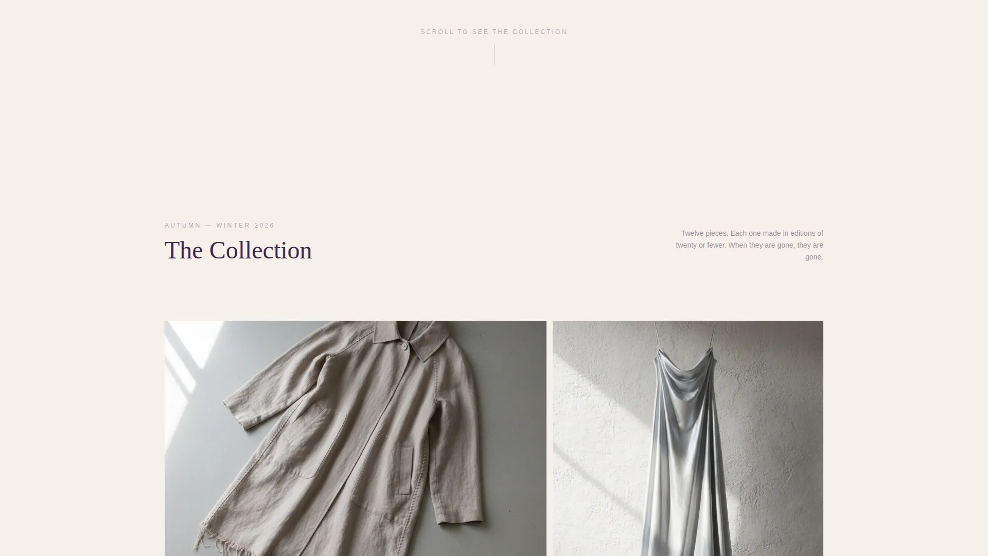 Sustainable & Ethical Fashion Professional Website Template