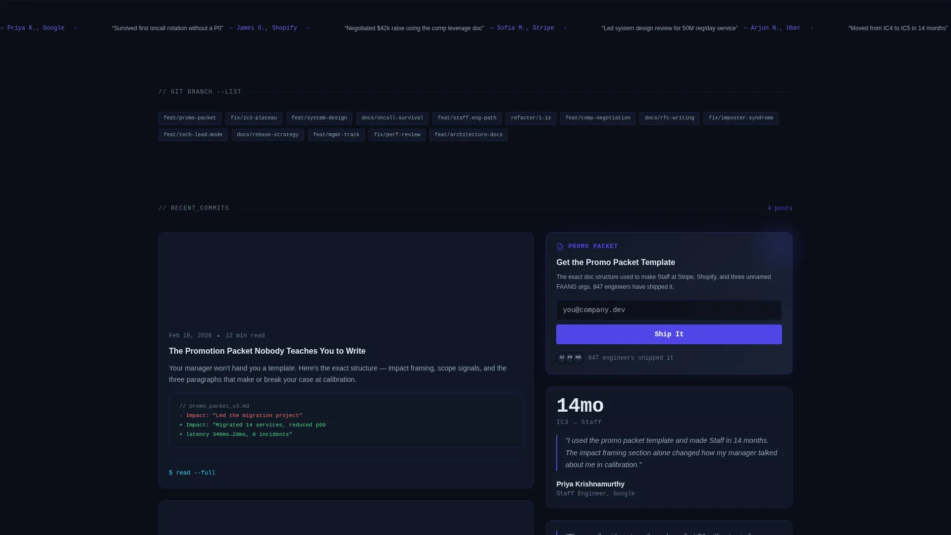 Software Engineer Career Blog Landing Page Template