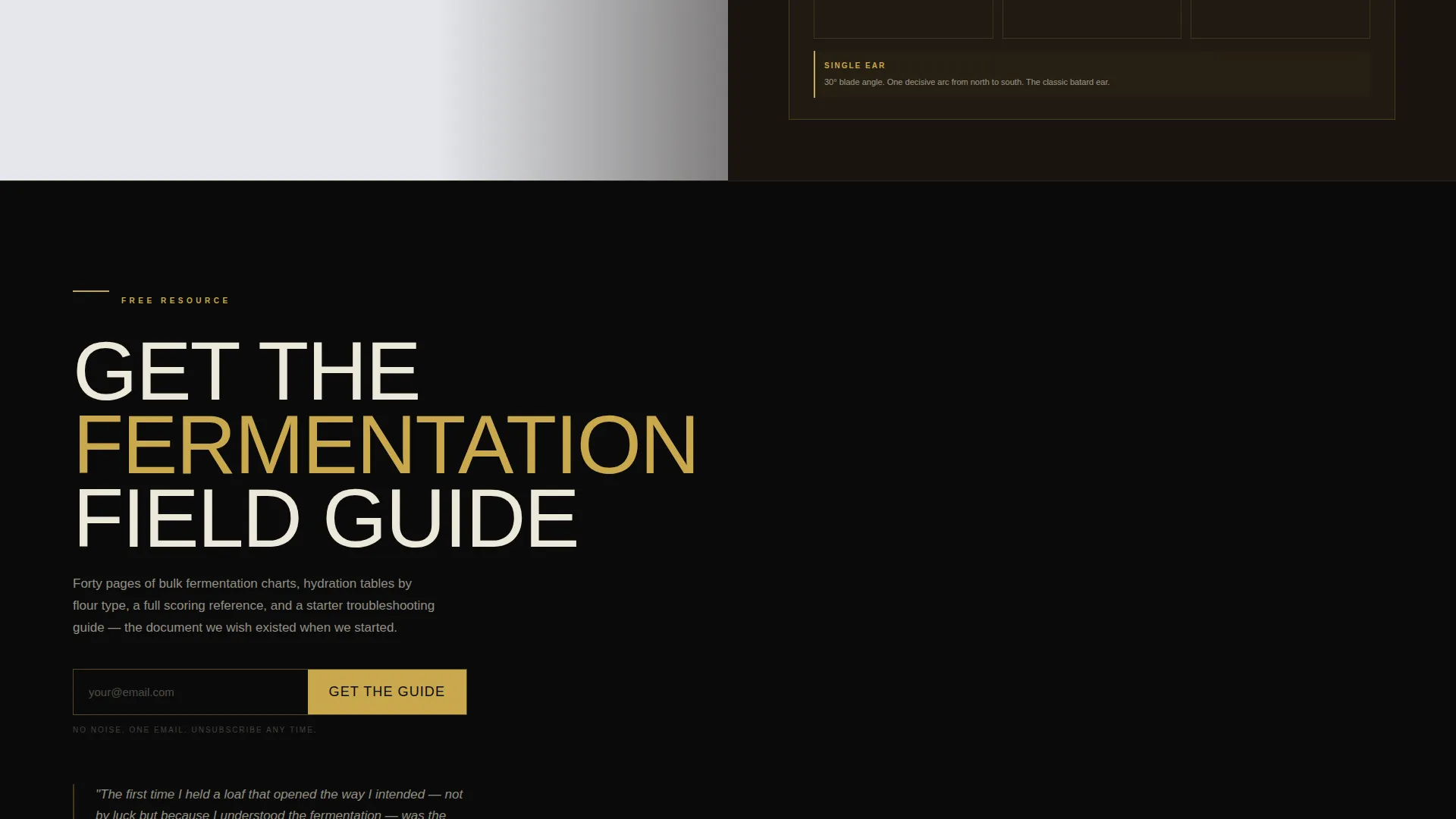 Bold Brutalist Sourdough Baker Landing Page Template