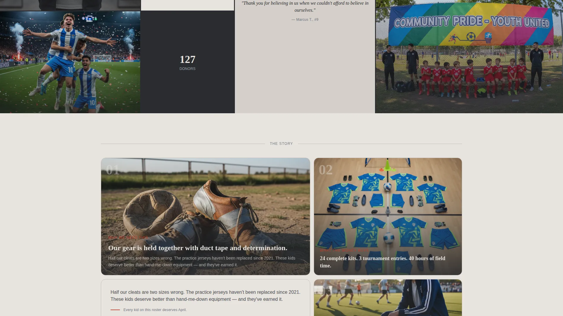 Premium Charity & Fundraiser Profile Professional Website Template
