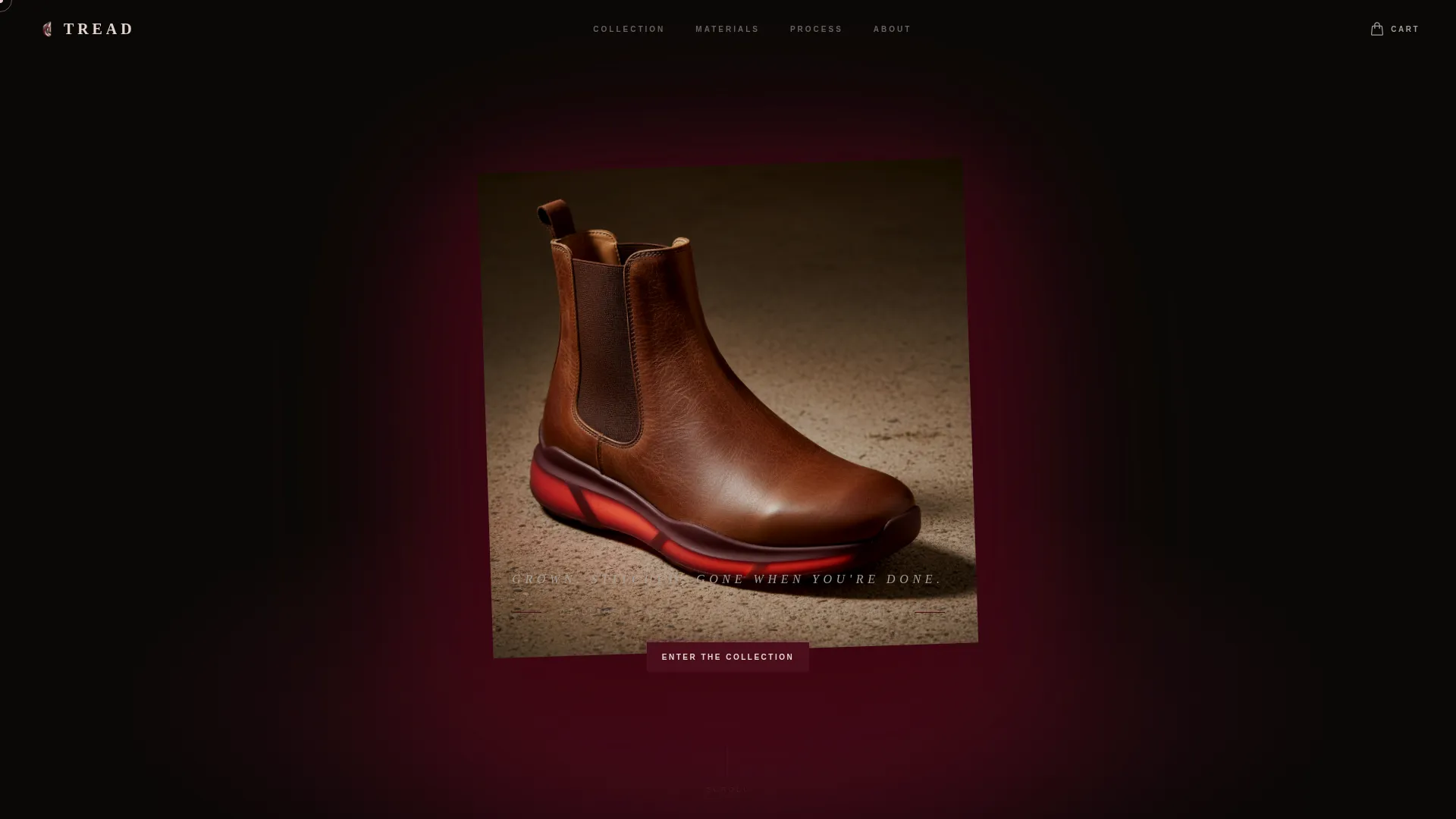 Footwear Brand Pricing Website Template