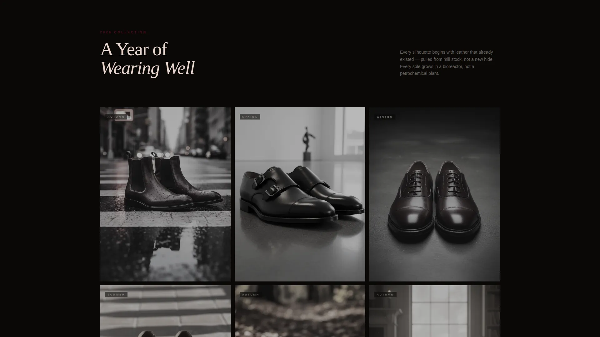 Footwear Brand Pricing Website Template