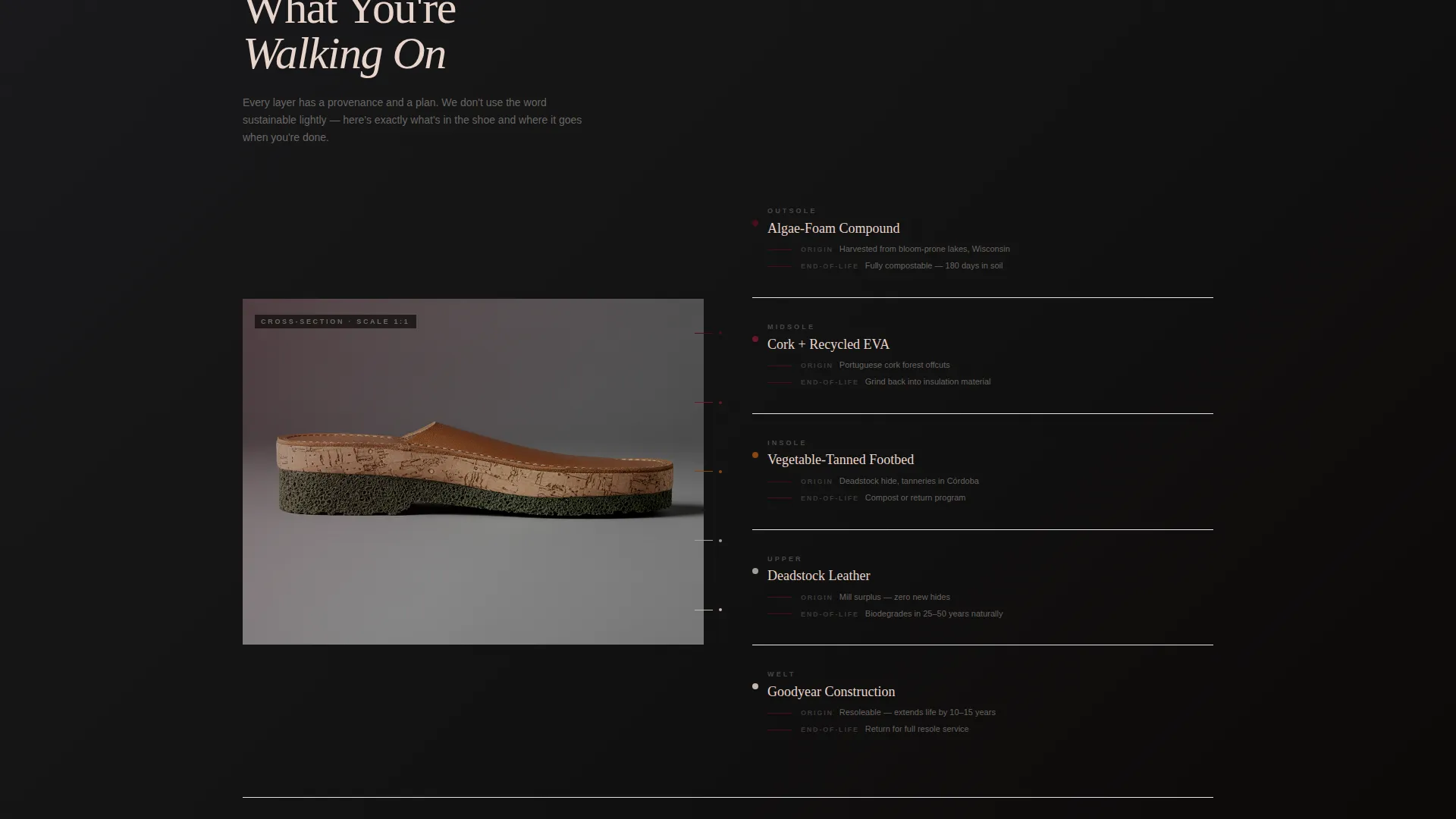 Footwear Brand Pricing Website Template