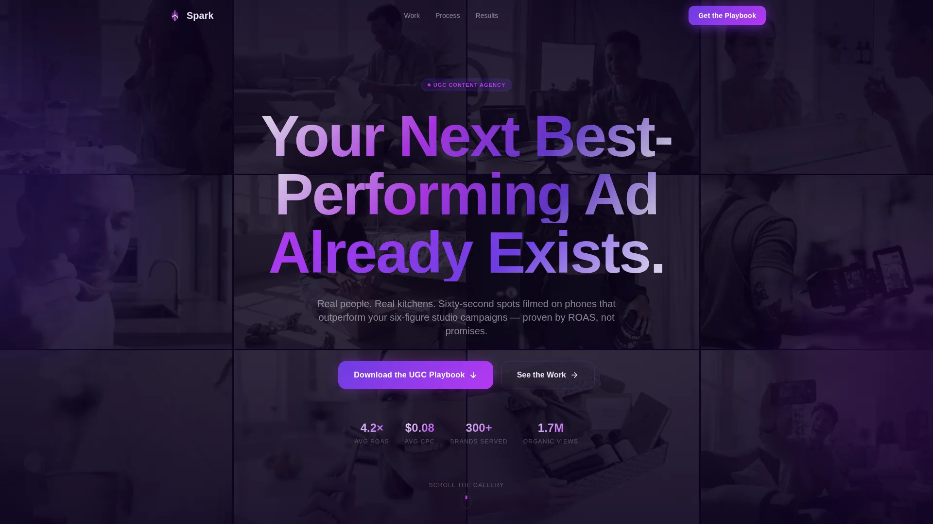 Social Media & Influencer Agency Portfolio Website Template