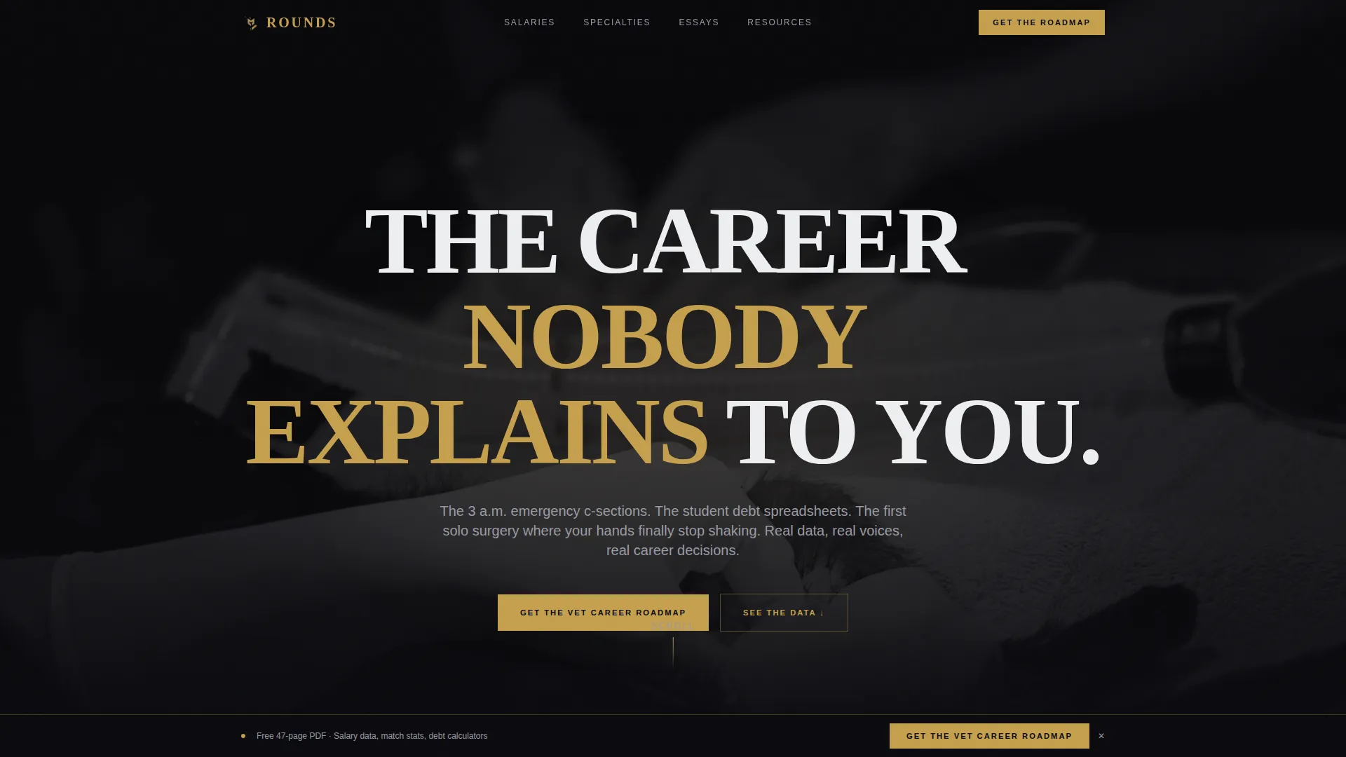 Veterinarian Career Blog Landing Page Template