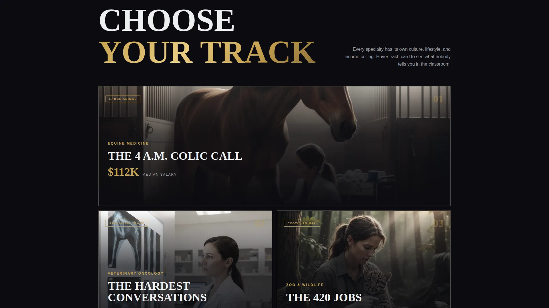 Veterinarian Career Blog Landing Page Template
