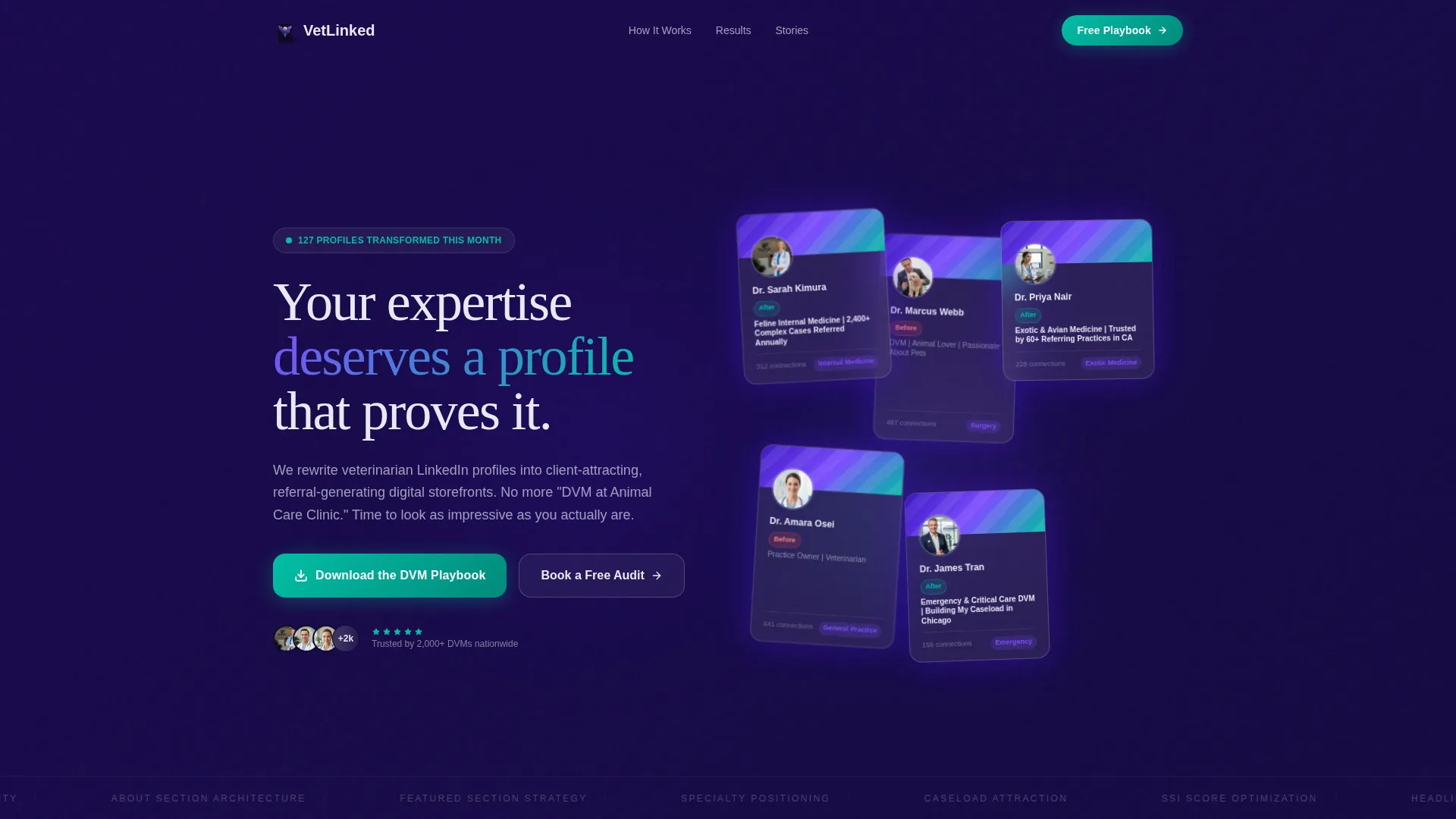 Veterinarian LinkedIn Optimization Landing Page Template