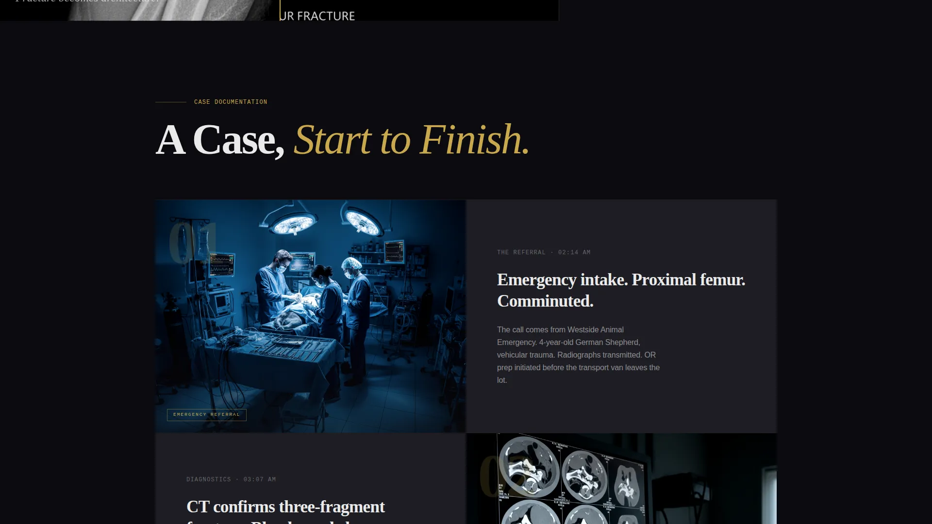 Veterinarian Portfolio Landing Page Template