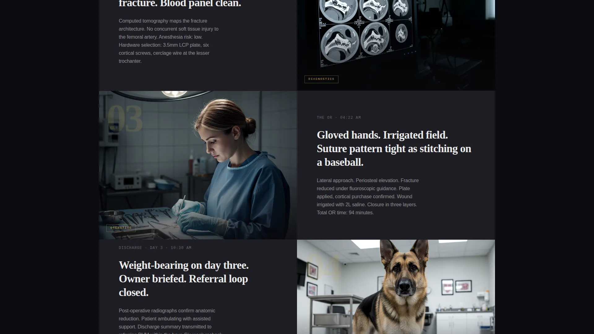 Veterinarian Portfolio Landing Page Template
