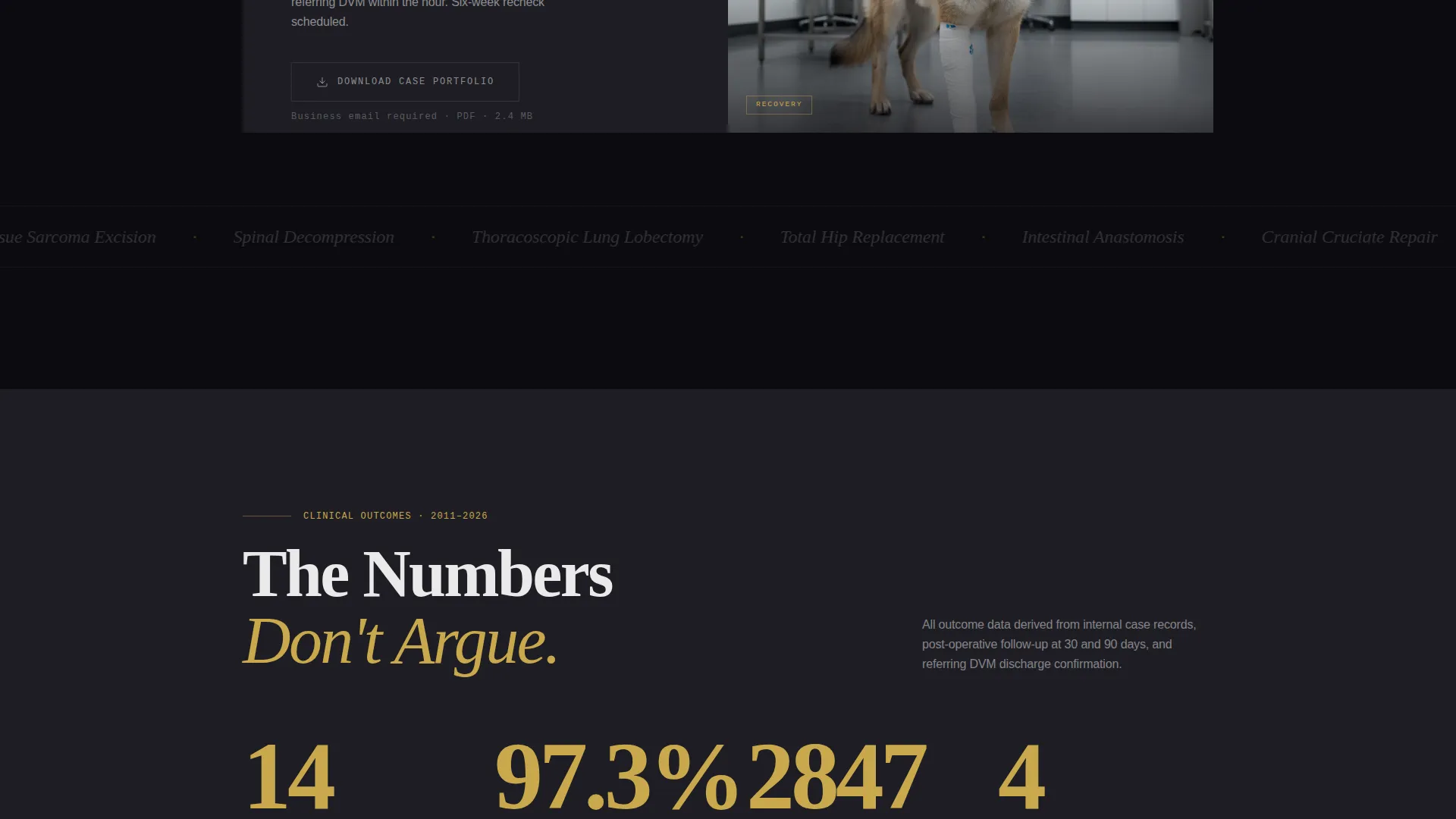 Veterinarian Portfolio Landing Page Template