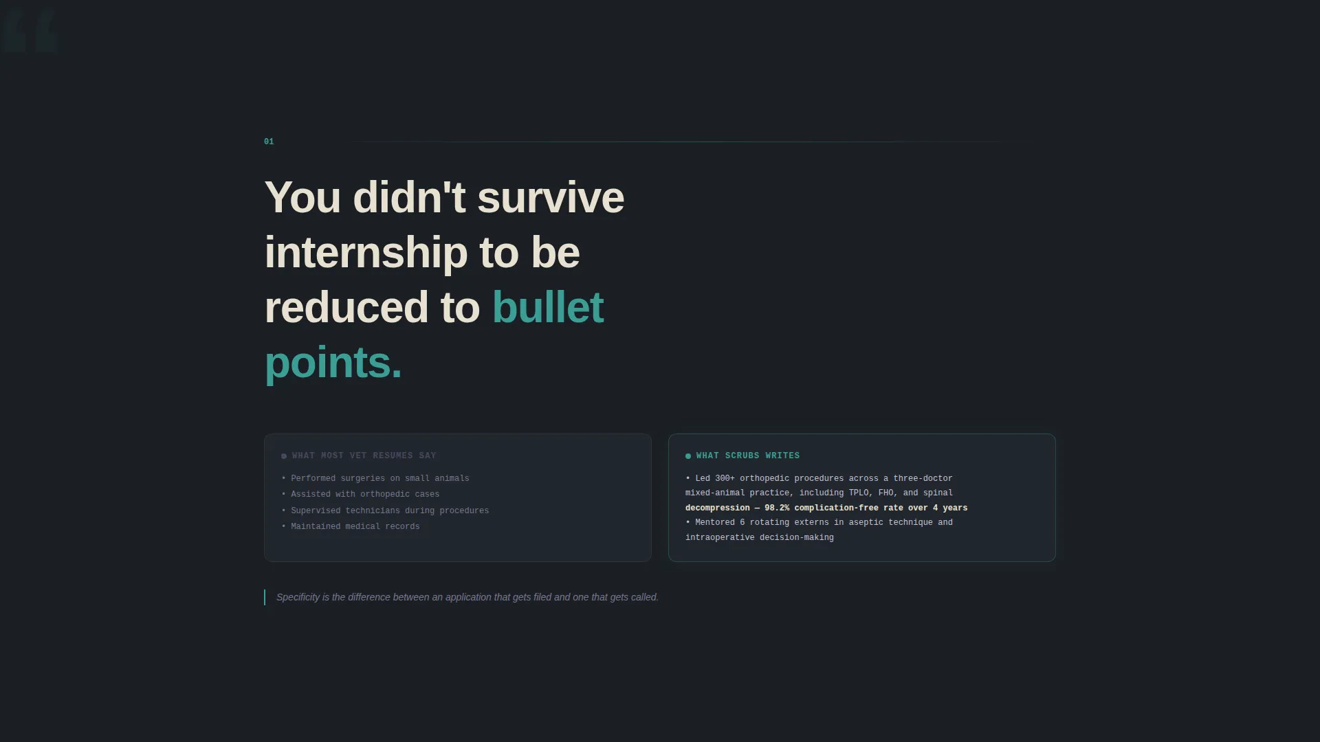Veterinarian Professional Resume Landing Page Template
