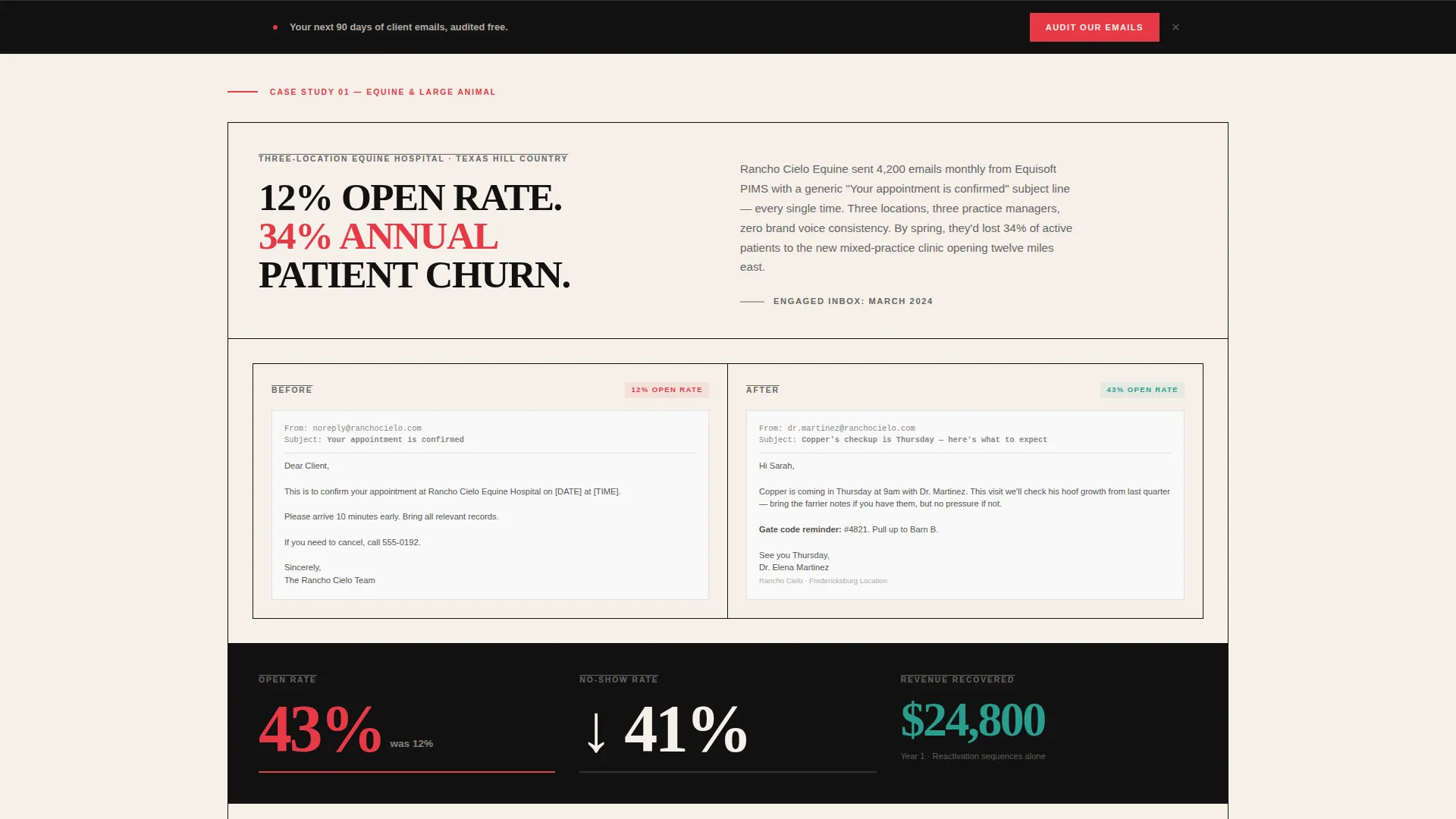 Bold Brutalist Veterinary Email Marketing Landing Page